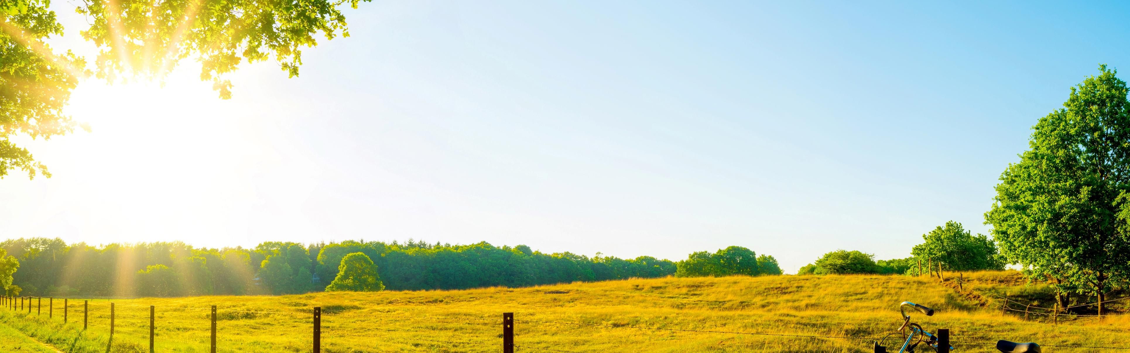 فندق غارنر ستور - بريمن1