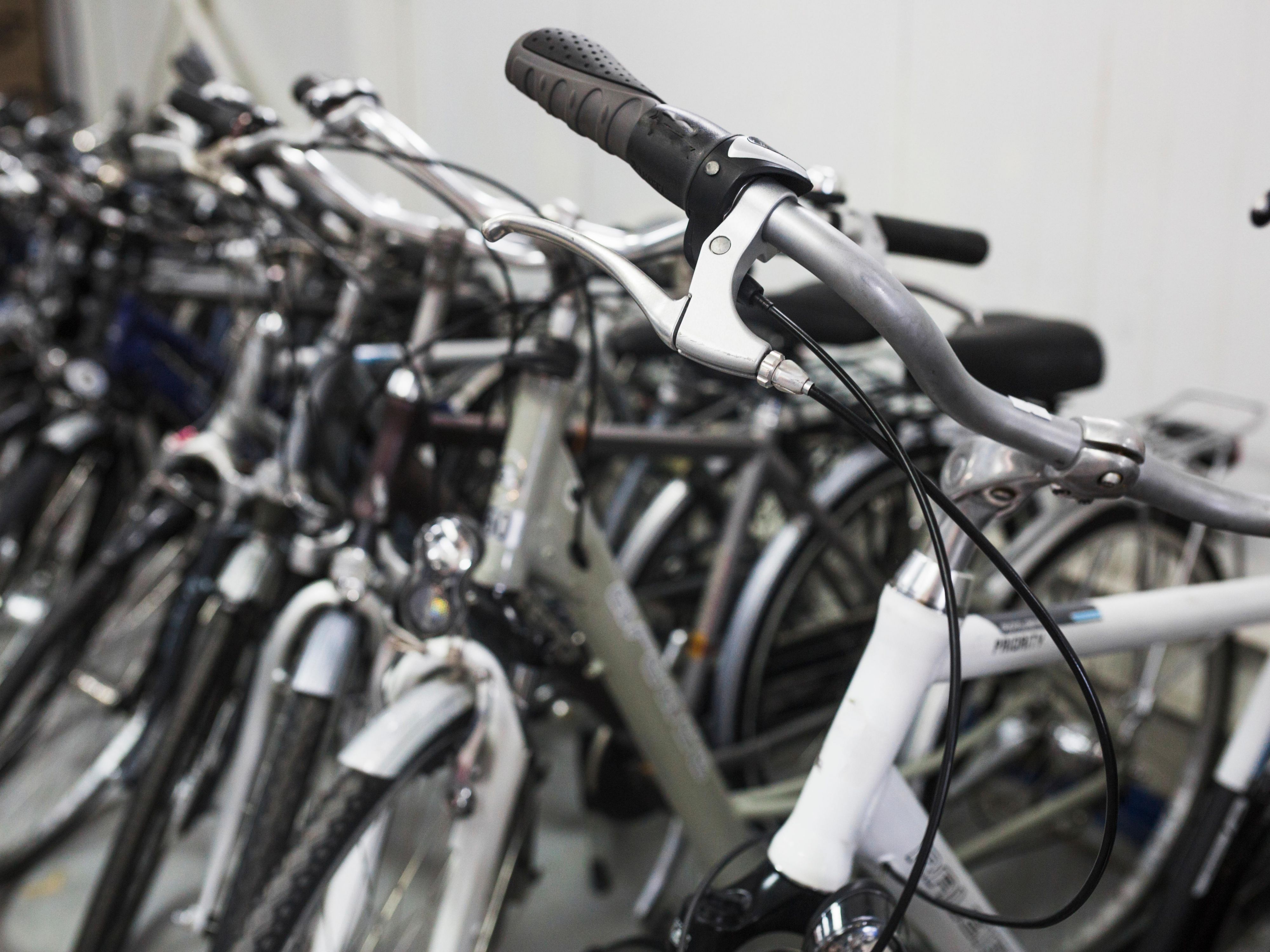 Ready to explore Cottbus and the Spreewald on two wheels? Our on-site bike garage keeps your bicycle safe and dry—perfect for cyclists discovering nearby lakes, nature parks, or the city centre. Whether you bring your own or rent one nearby, we’ve got the perfect base for your summer ride.