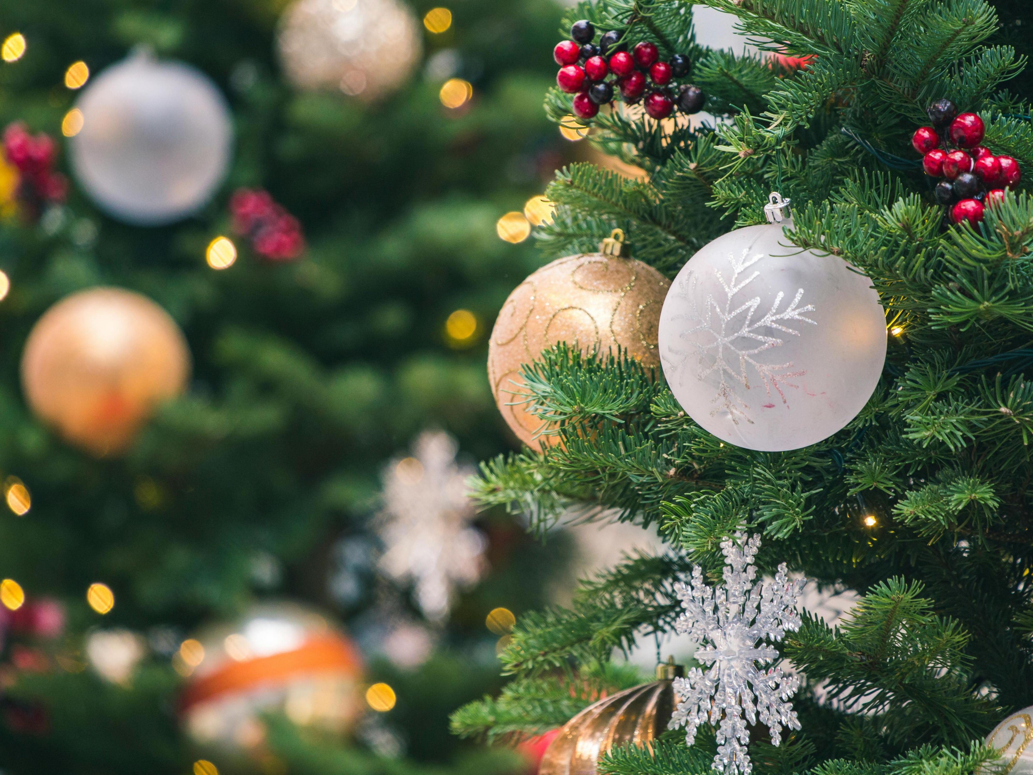 Step into Cottbus’ unique Winterwald from 21 Nov! 400 fir trees up to 4 m tall line the rooftop oasis. Explore the elf workshop and cozy alpine hut with mulled wine, coffee, and locals’ secret: Mulled-Wine-Caipirinha. Free entry via the stairs at Stadtbrunnen – festive magic awaits!