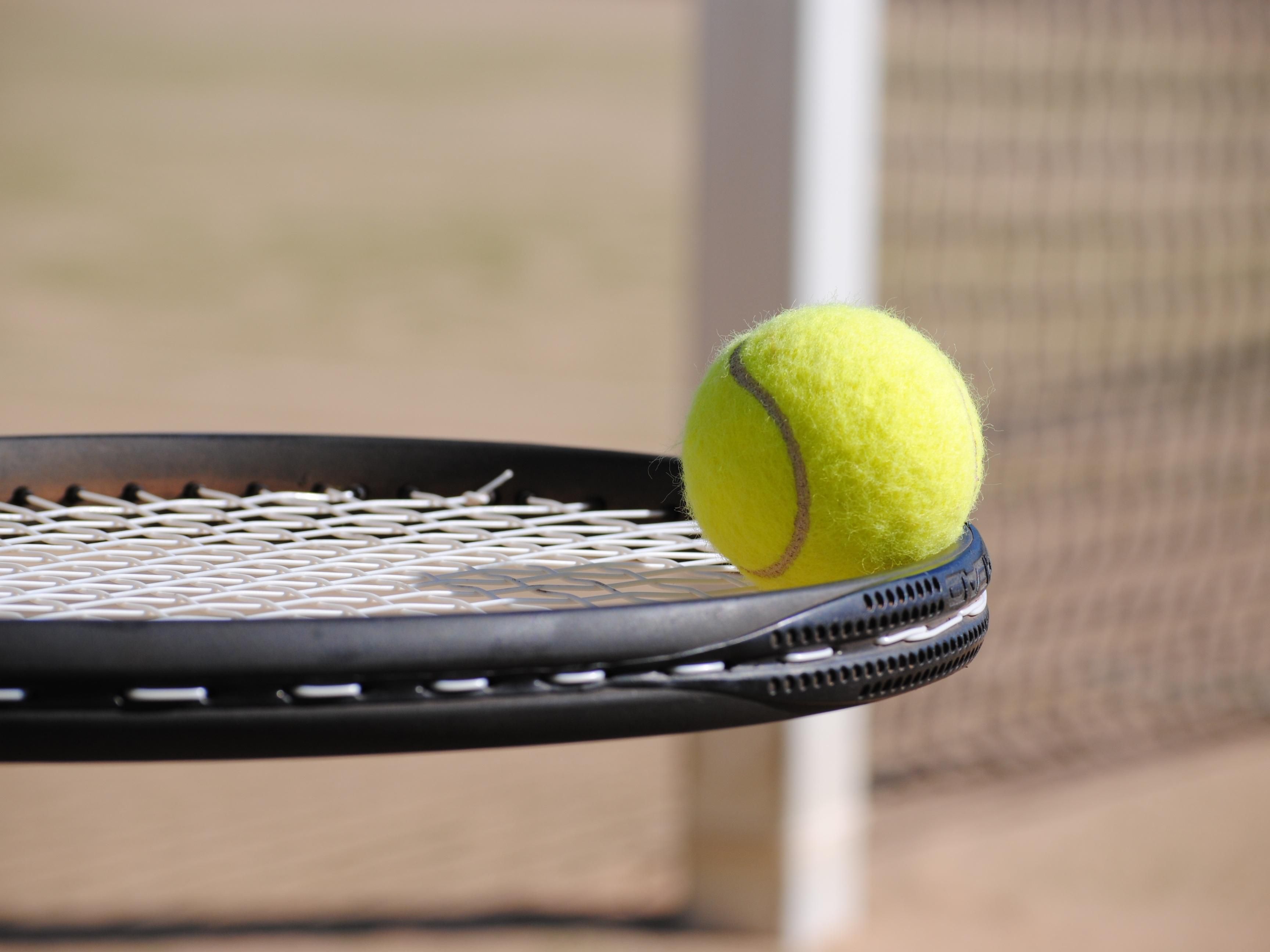 We can offer exciting team-building activities right on-site! Take advantage of the nearby tennis and squash courts for an active break after meetings. Rackets and balls are included—perfect for boosting team spirit and recharging together.