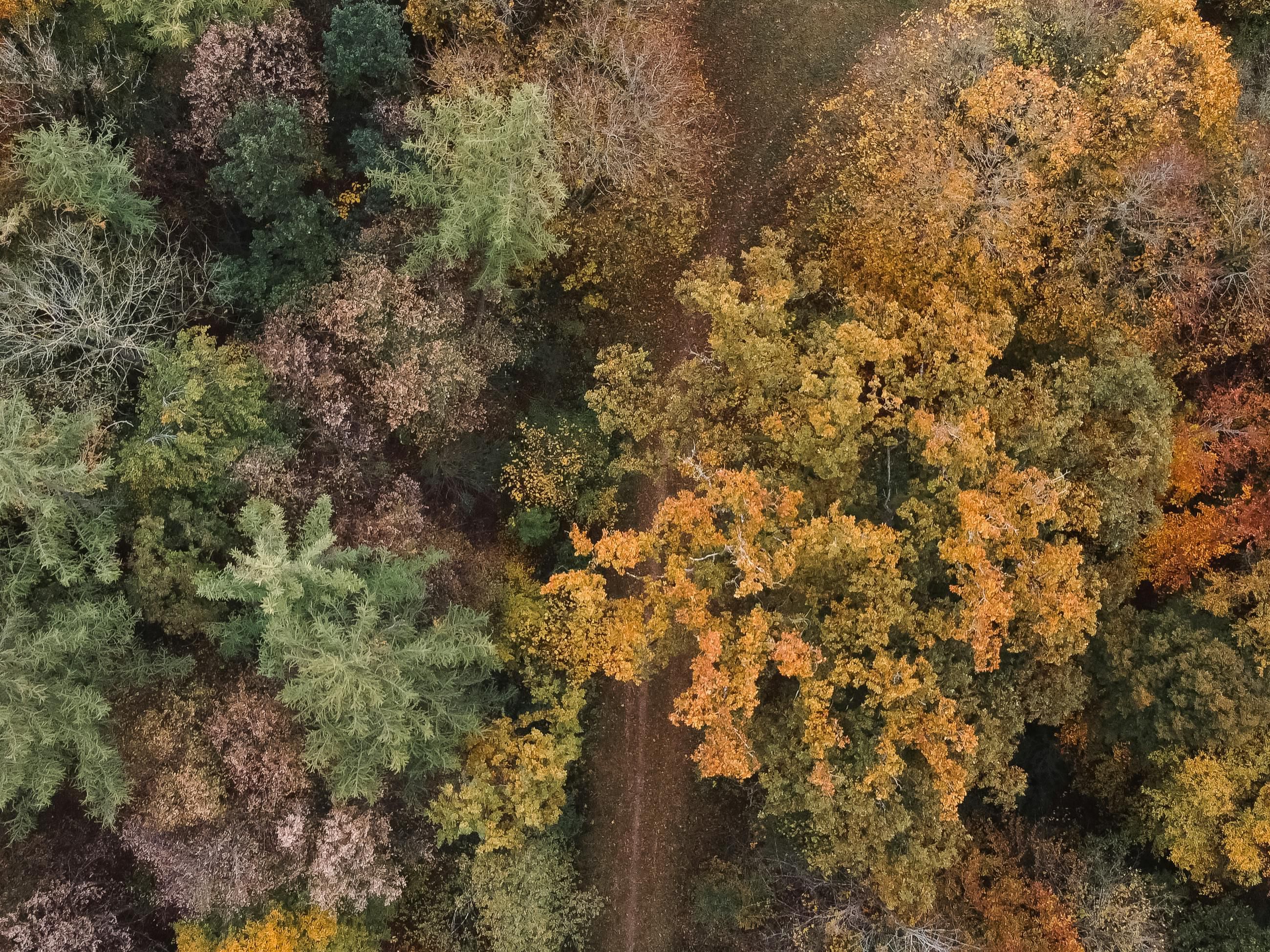 Experience the golden season around Haar: Explore the picturesque forests and fields on walks or bike rides, visit local farmers' markets with fresh autumn produce, or relax in nearby parks. Perfect for autumn outings just outside your door.