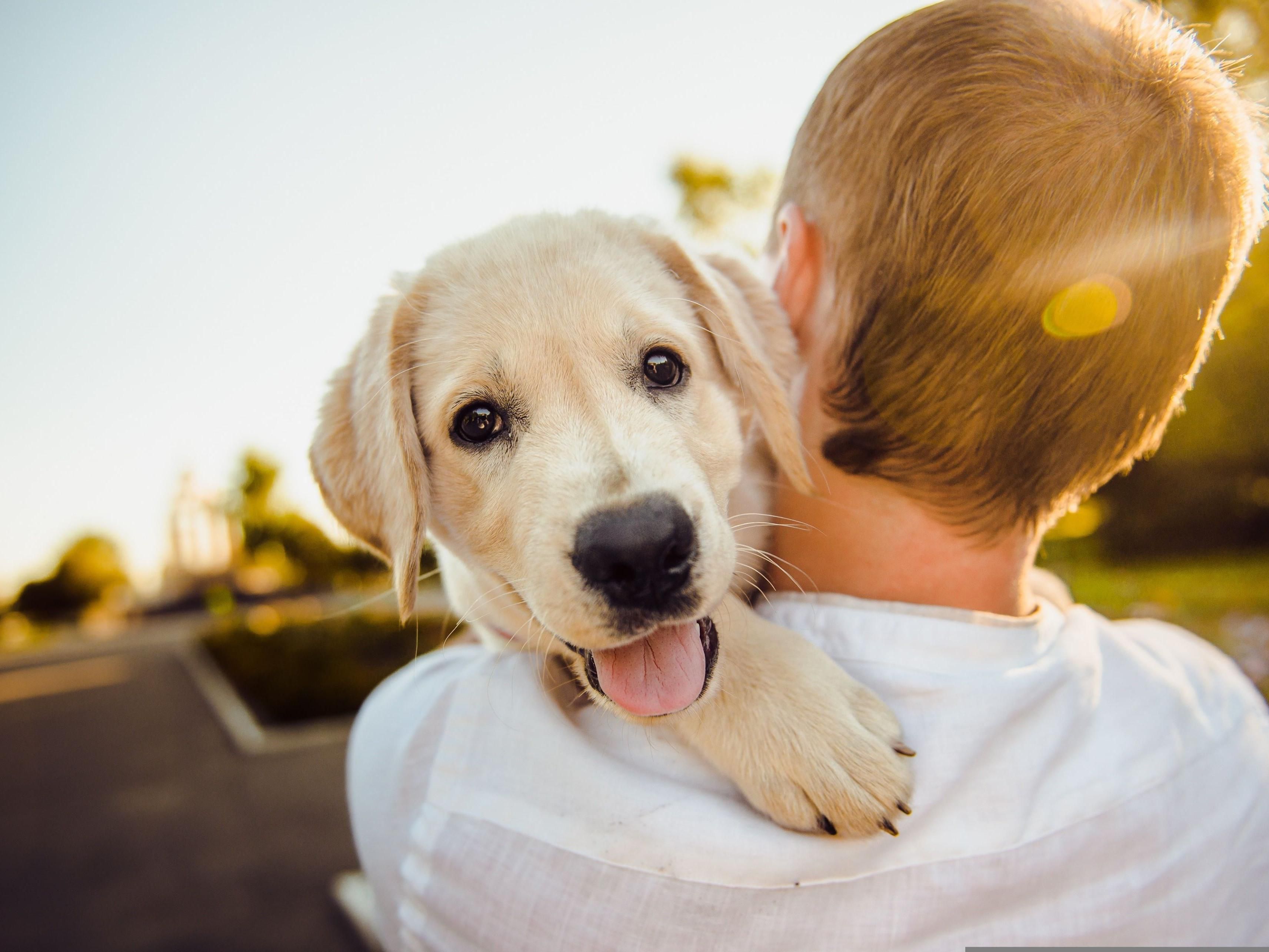 Save with our pet package! Get a reduced pet fee including parking, plus treats on arrival and local tips for dog-friendly spots in Hamburg. A comfy stay for you and your furry friend – all in one package. For stays from 1 night and more.