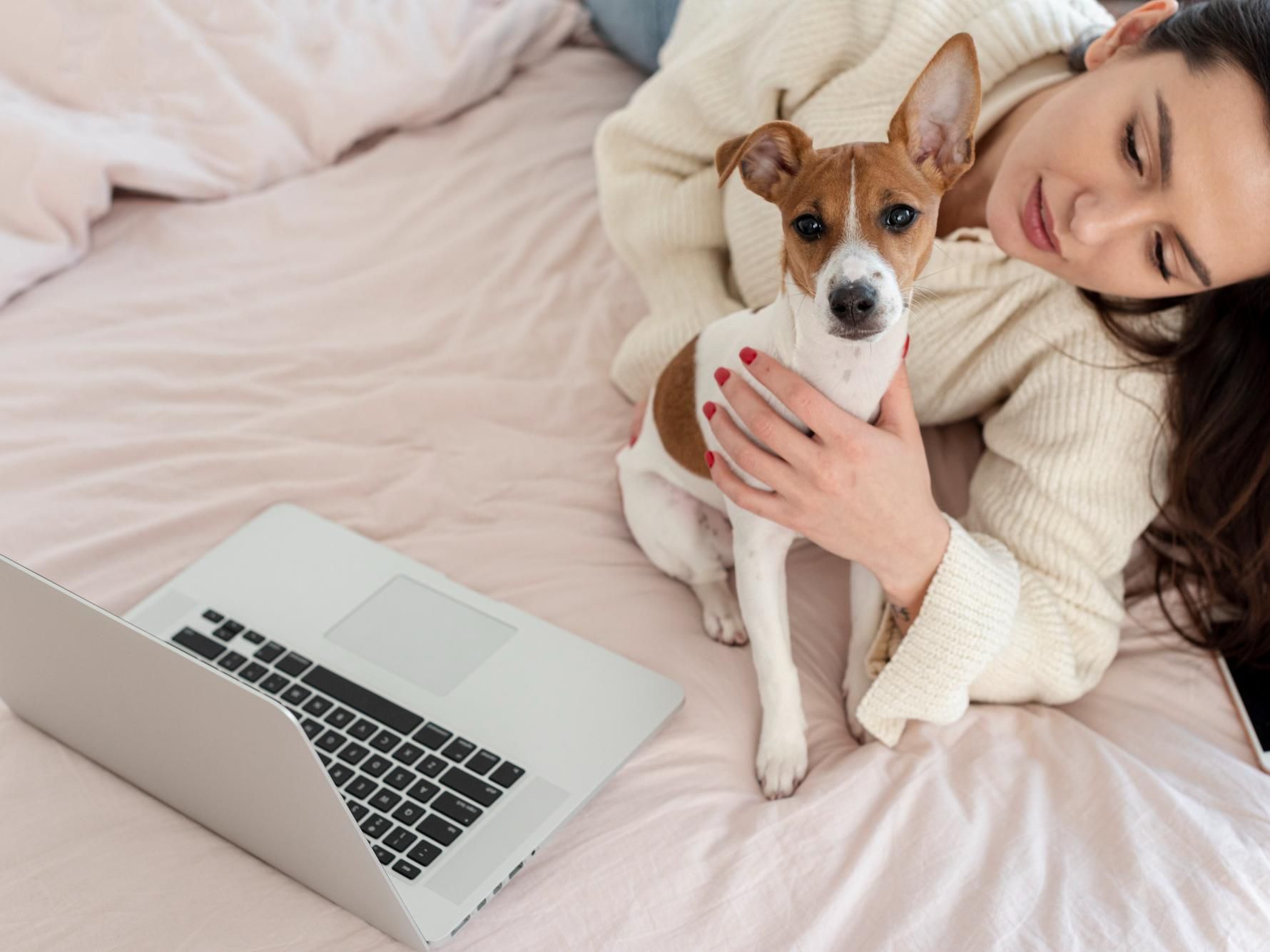 We welcome your furry family member with open arms! Bring your four-legged companion along for just €25 a day. At our dog-friendly Hamburg hotel, everyone’s included, no matter how many paws you have. Because travel’s better when your family’s together.
