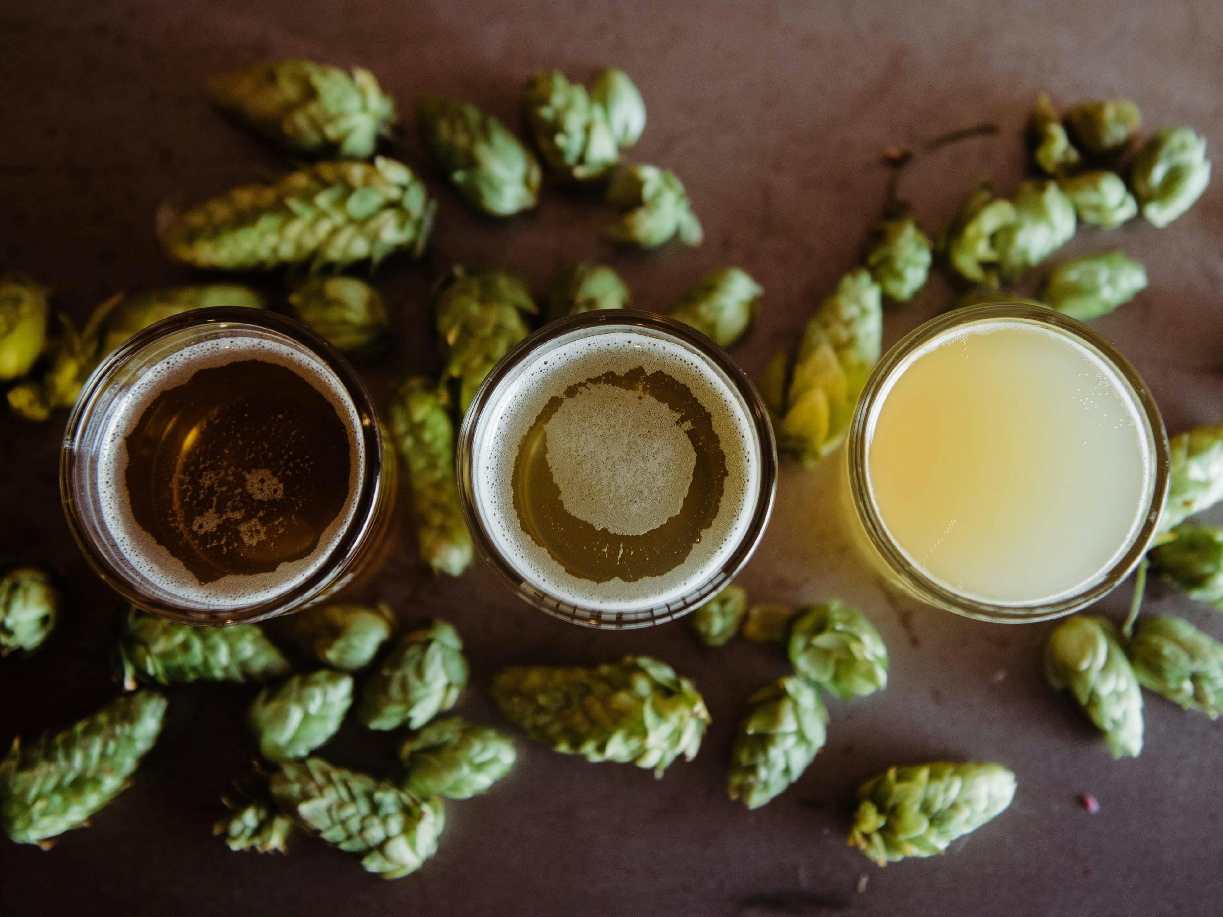 From 28 Aug to 7 Sept, Hamburg celebrates beer culture citywide in multiple locations. Breweries, bars and bottle shops invite you for tastings, talks and cold pints. Discover local brews, creative crafts and classic favourites. Cheers to good times in Hamburg!