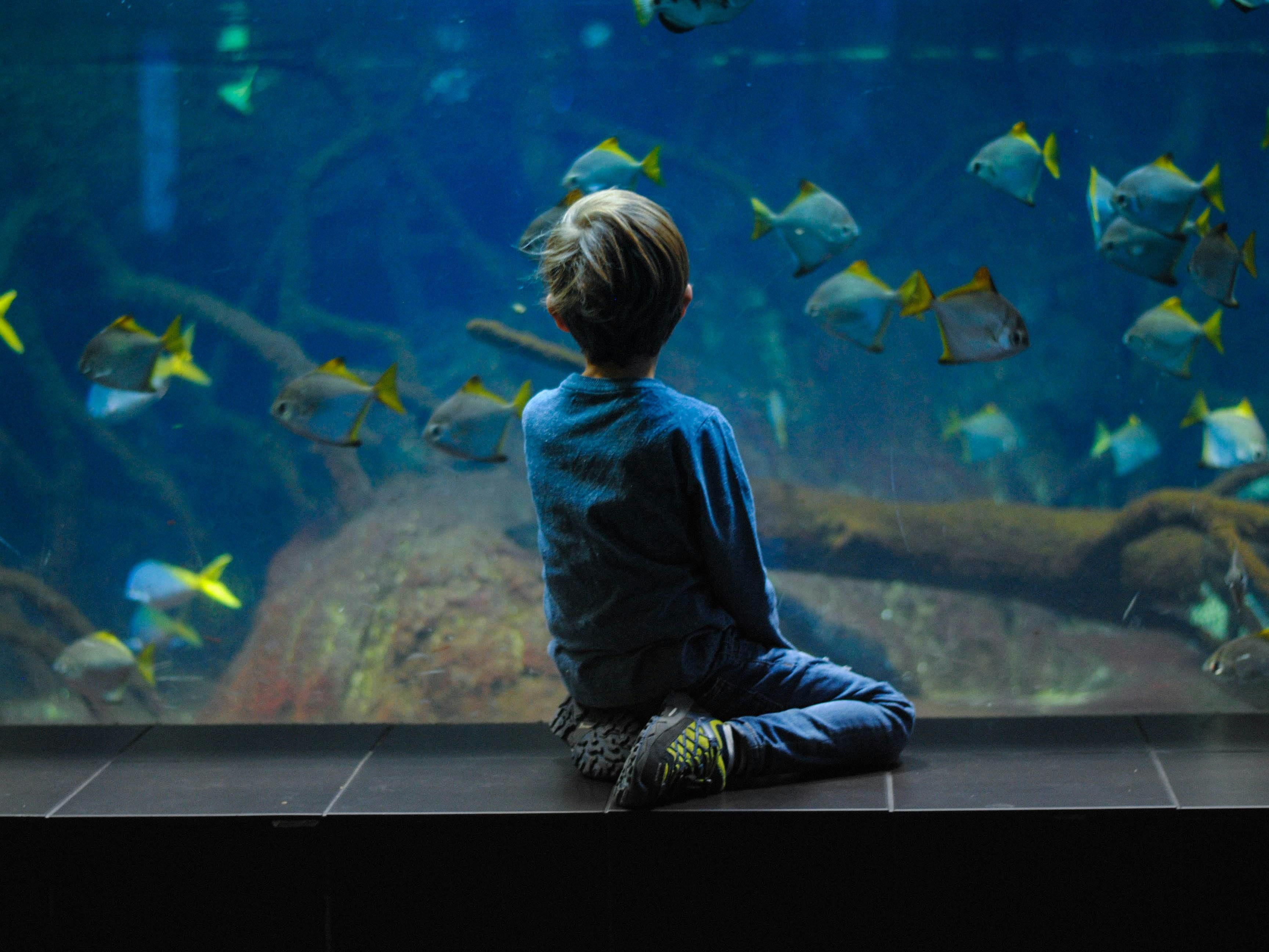 Even when the Baltic winds blow, Kiel has plenty to offer! Just a 7-minute walk away, a 4D black light mini golf awaits. Trampoline parks and cinema are always great alternatives. For something truly out of this world, explore galaxies at Mediendom or dive into marine life at GEOMAR Aquarium. Perfect for couples, families and solo travellers.