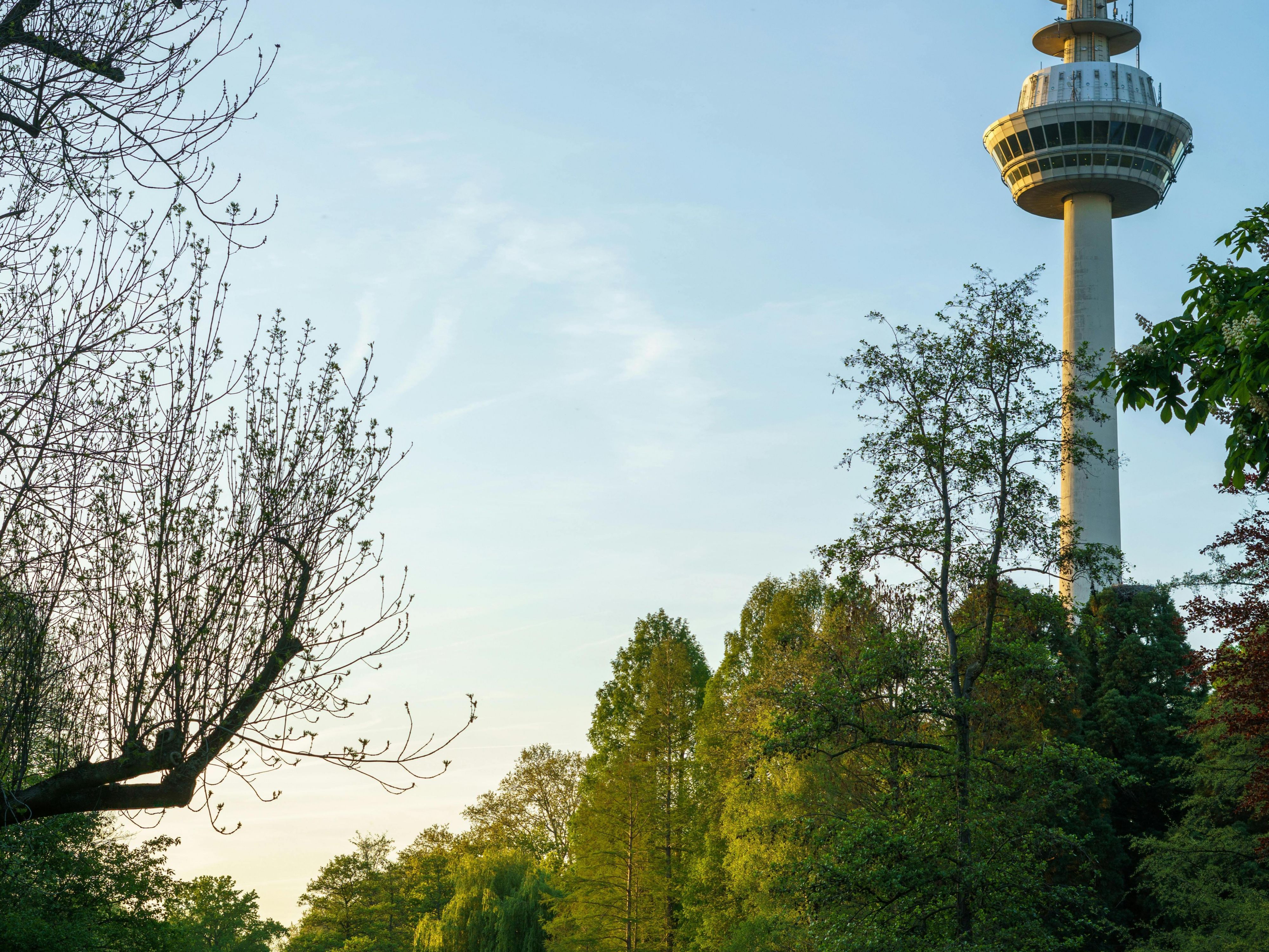 Only a few minutes from the hotel the Luisenpark Mannheim awaits you with its beautifully laid out paths and many different experiences and attractions for young and old.