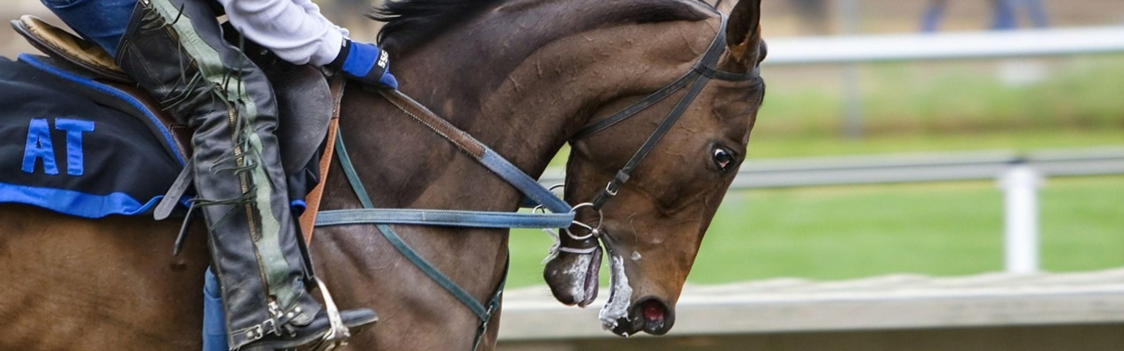 Hipódromo de Wetherby