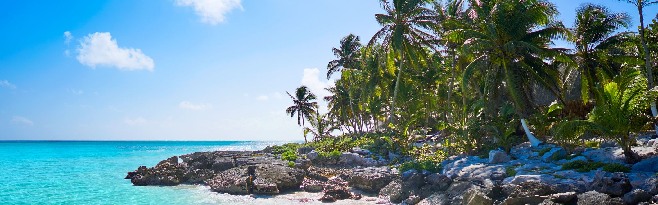 beach and palm trees in Tulum