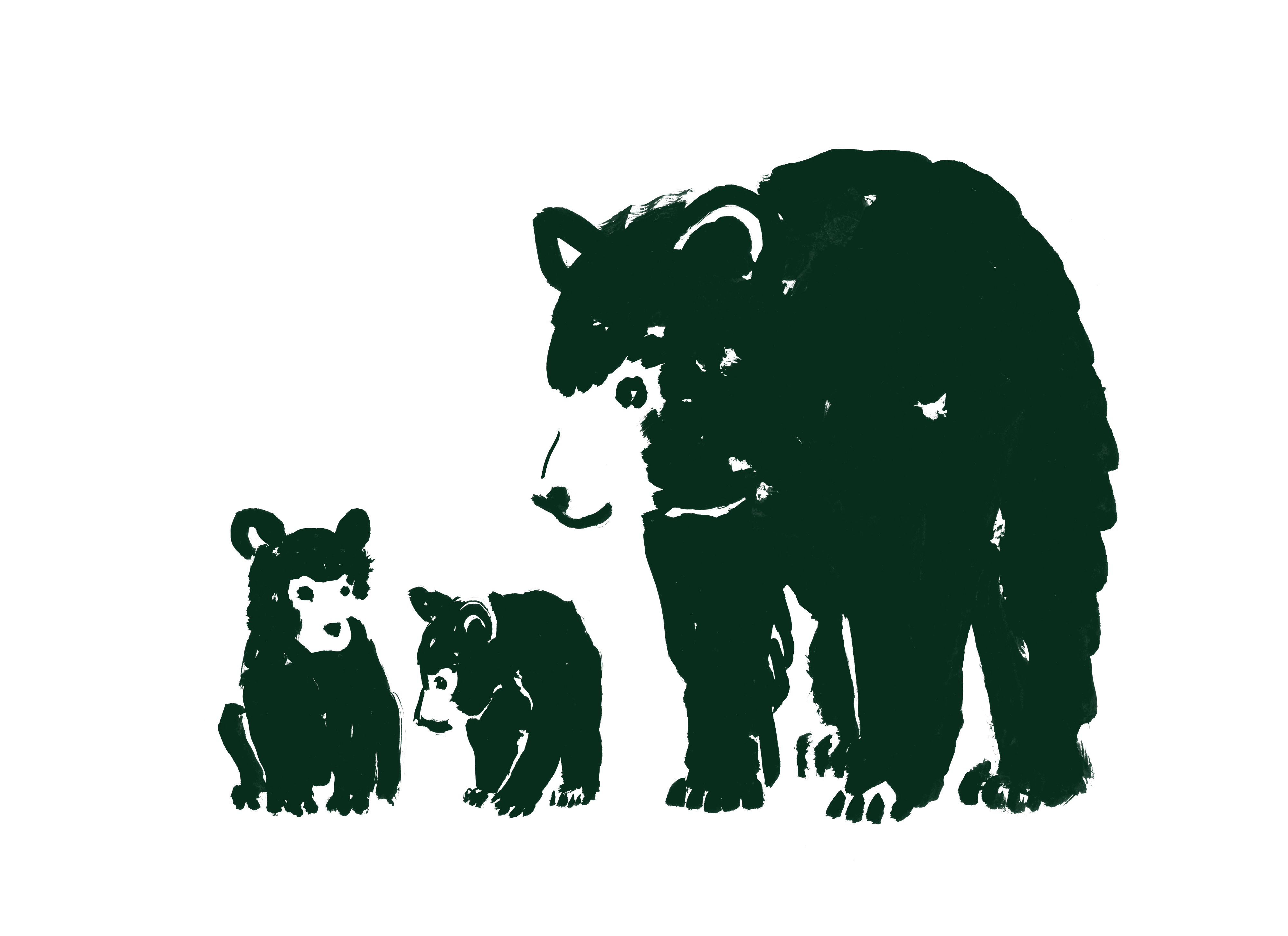 illustration of bears from Smoky Mountains