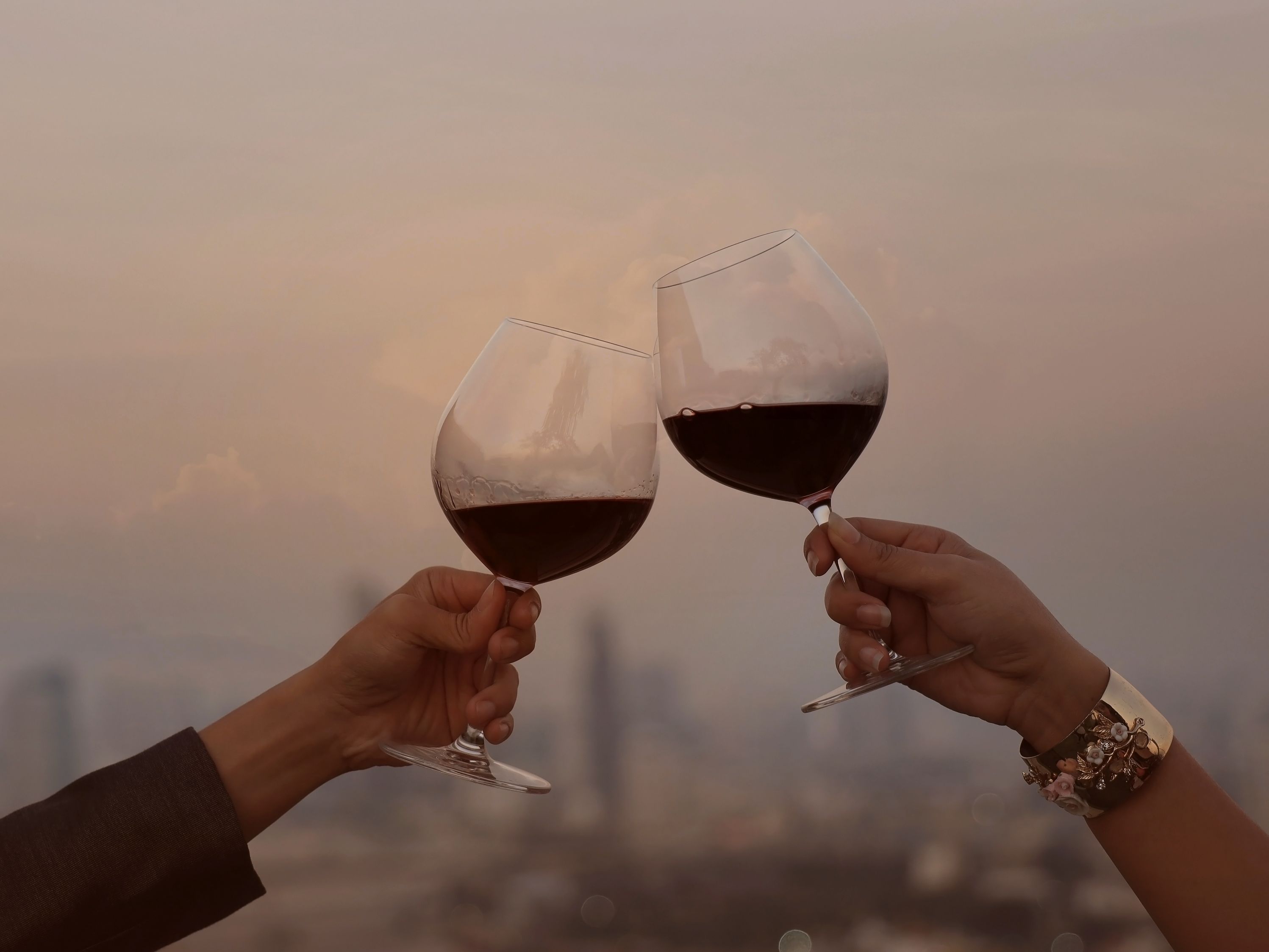 Two friends toasting with wine on patio