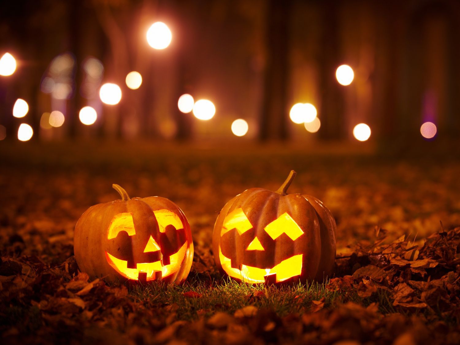 two pumpkins with fairy lights