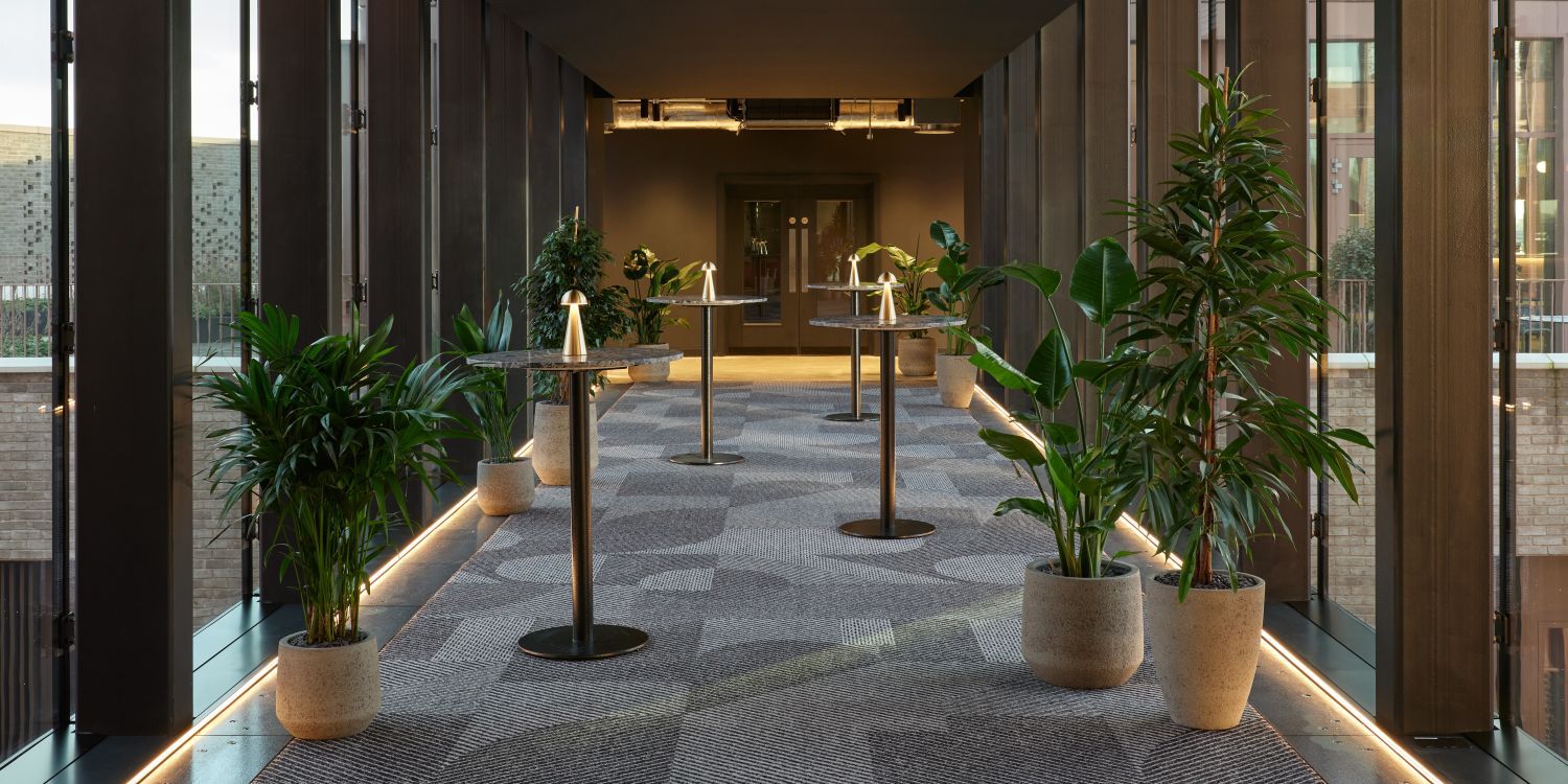 pen plan meeting area with big windows and green plants