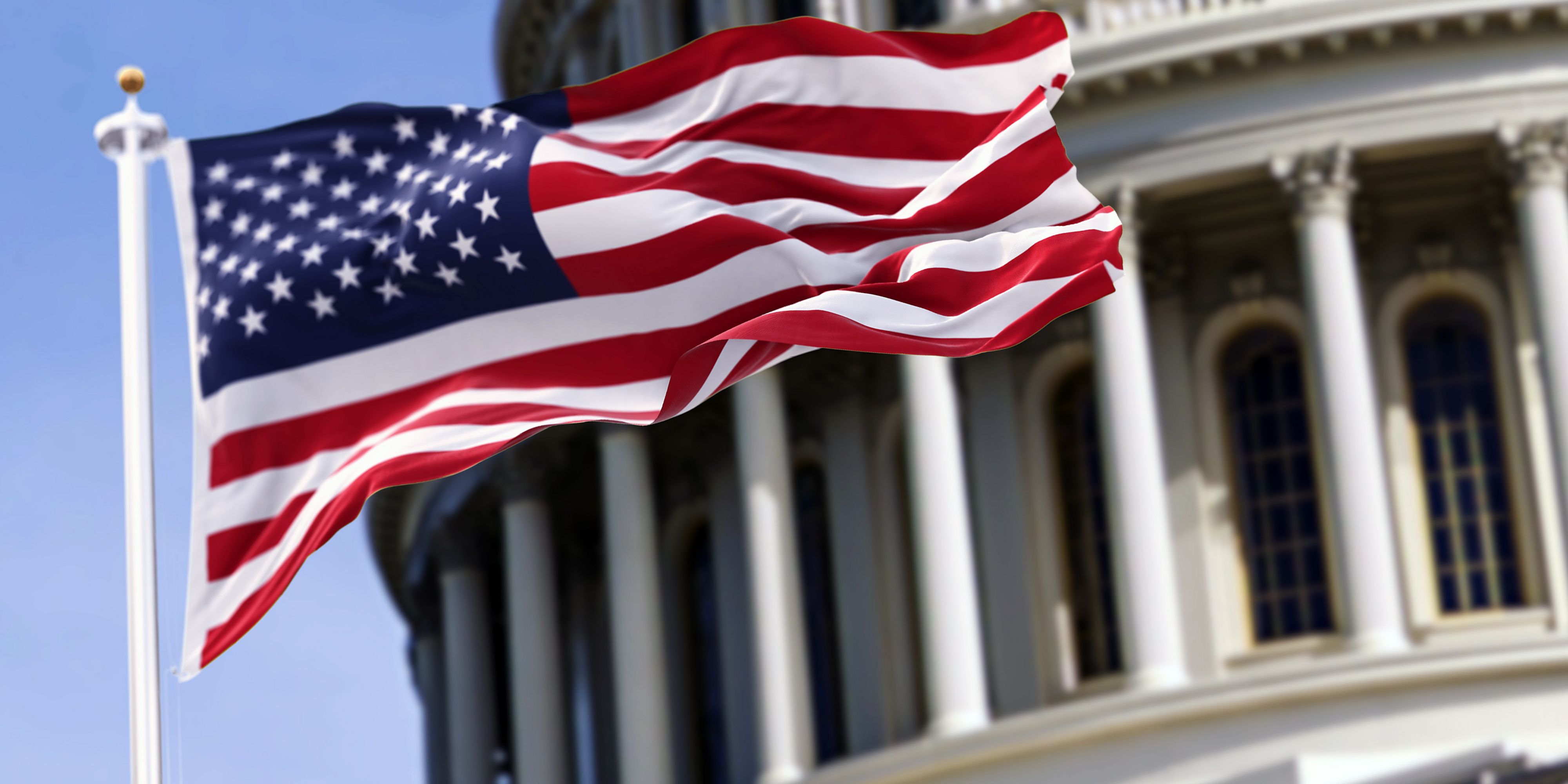 government flag 