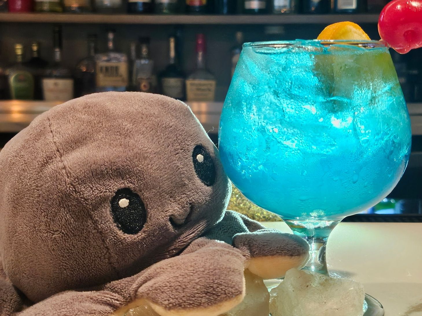 Cocktail special for World Ocean month.