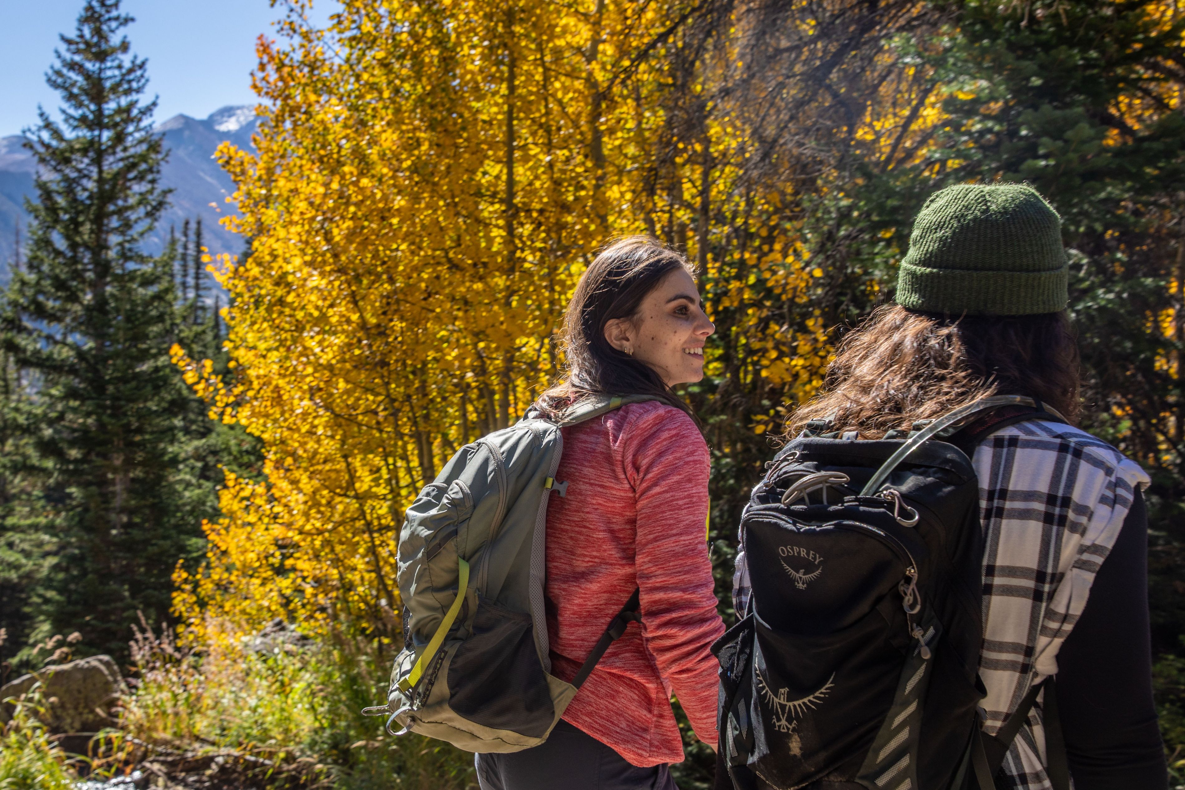 Friends hiking in the mountains in fall.