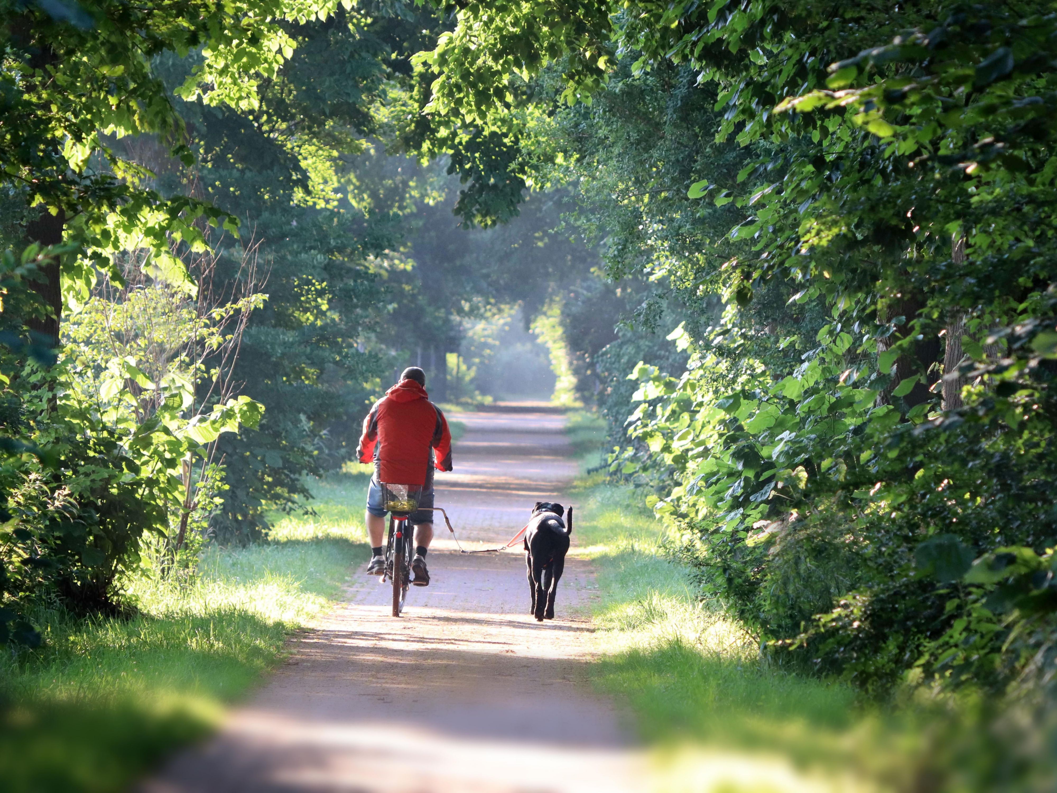 Discover the city on two wheels and enjoy a secure parking spot for your e-bike. A packed lunch and refreshing water are included for your day out. You will be welcomed with a non-alcoholic drink. After a restful night, you can enjoy a delicious breakfast.