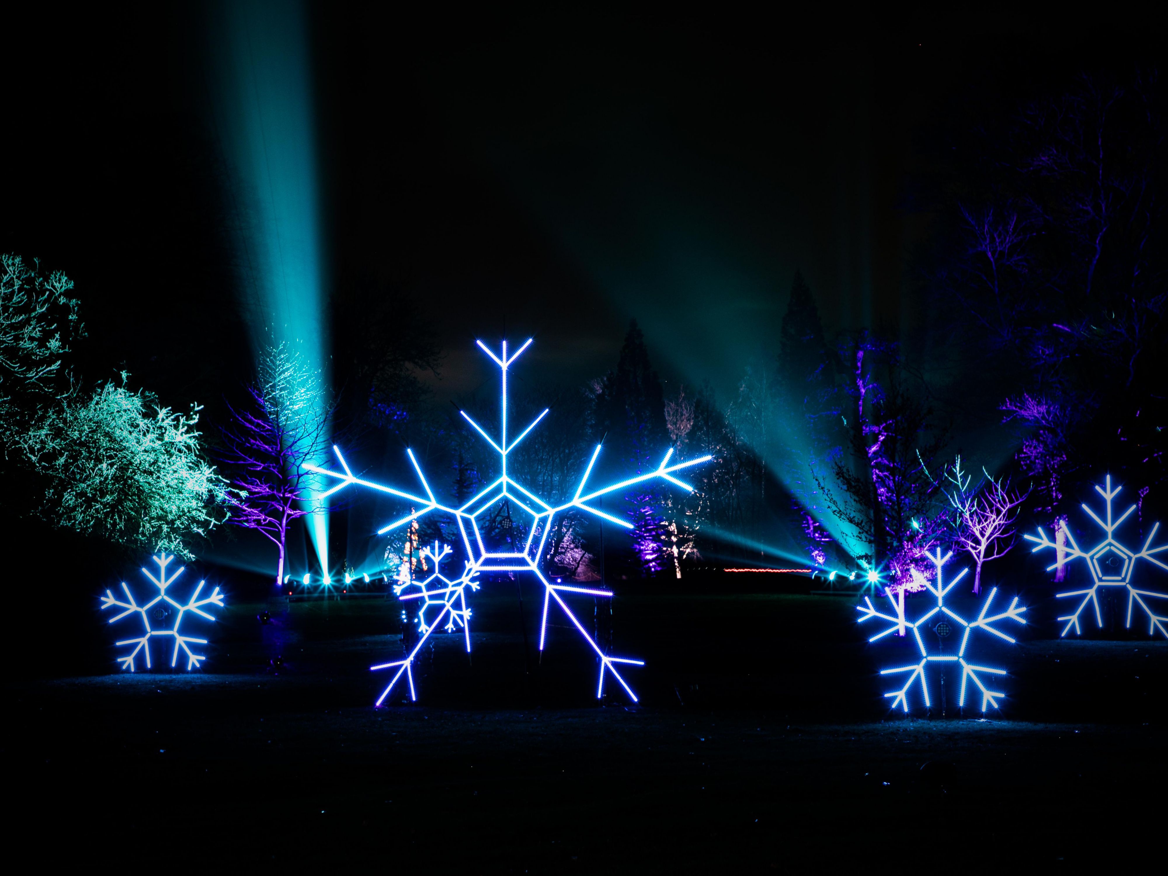From 12 December to 1 March, Bergzoo Halle transforms into a glowing wonderland. The Magische Lichterwelten enchant visitors with giant, colourful light installations that bring the zoo to life under a new theme each year. Reach this magical experience in just 15 minutes by car or public transport.
