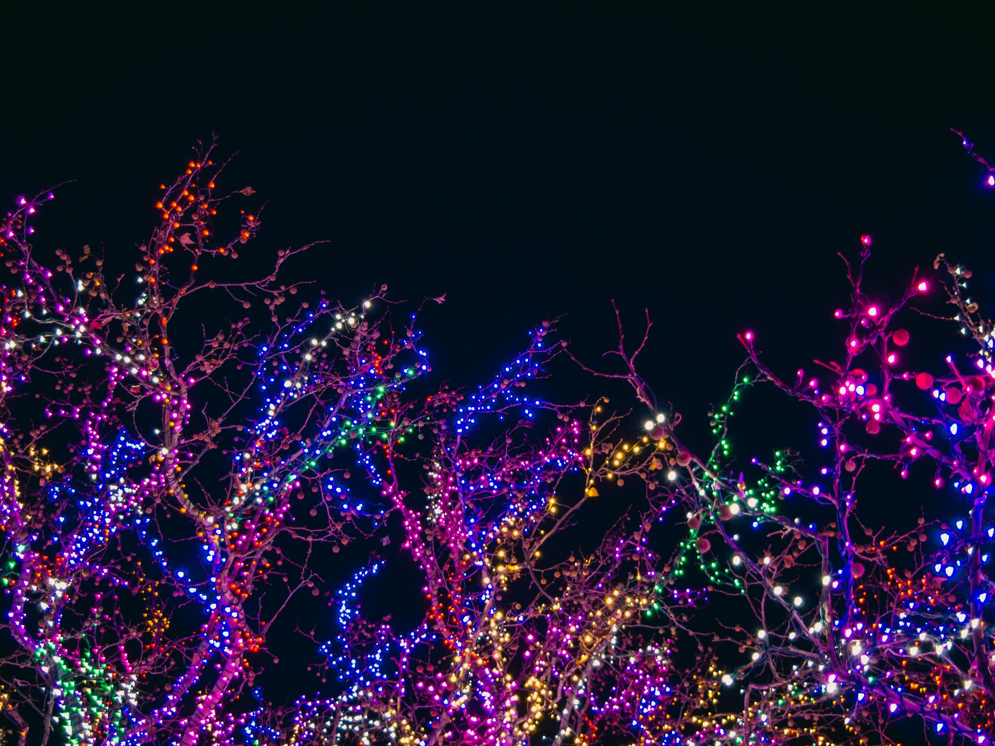 Follow the sparkle to the Botanical Loki-Schmidt-Garten and wander through millions of glowing lights, artistic installations, and festive sounds. This dazzling winter experience is easily reached in about 40 minutes by direct city train – the perfect evening trip for families, friends, and anyone who loves a touch of Christmas magic.