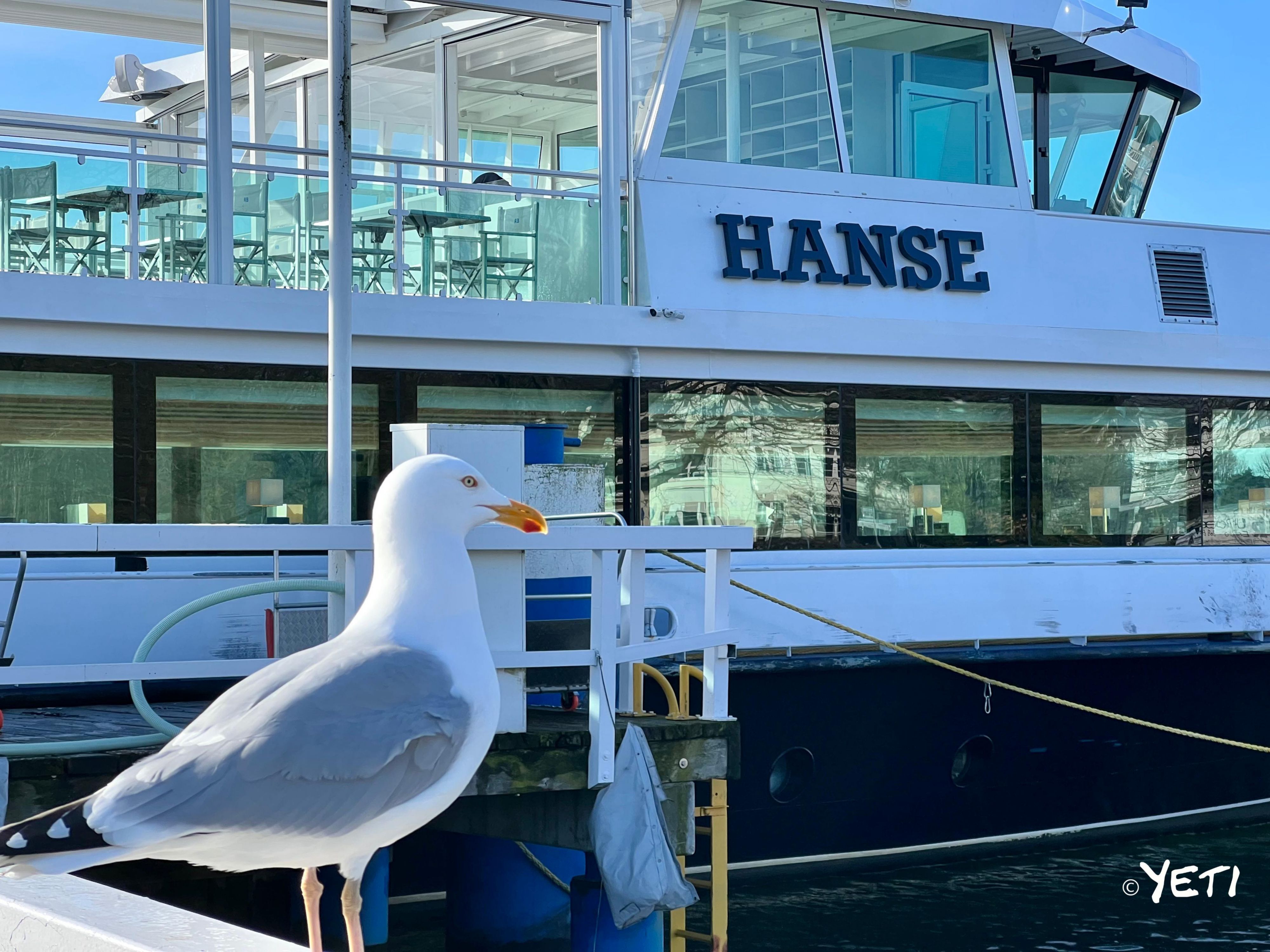 Sit back and enjoy a relaxing boat ride along the Trave River! Aboard the panoramic MS HANSE, you’ll pass ferry docks, historic Gothmund, sandy shores, and more. This 90-minute tour runs wednesdays & saturdays at 1:00 PM and 5:00 PM. Dogs are welcome on board. Find schedules and book tickets at hanseschifffahrt.de.