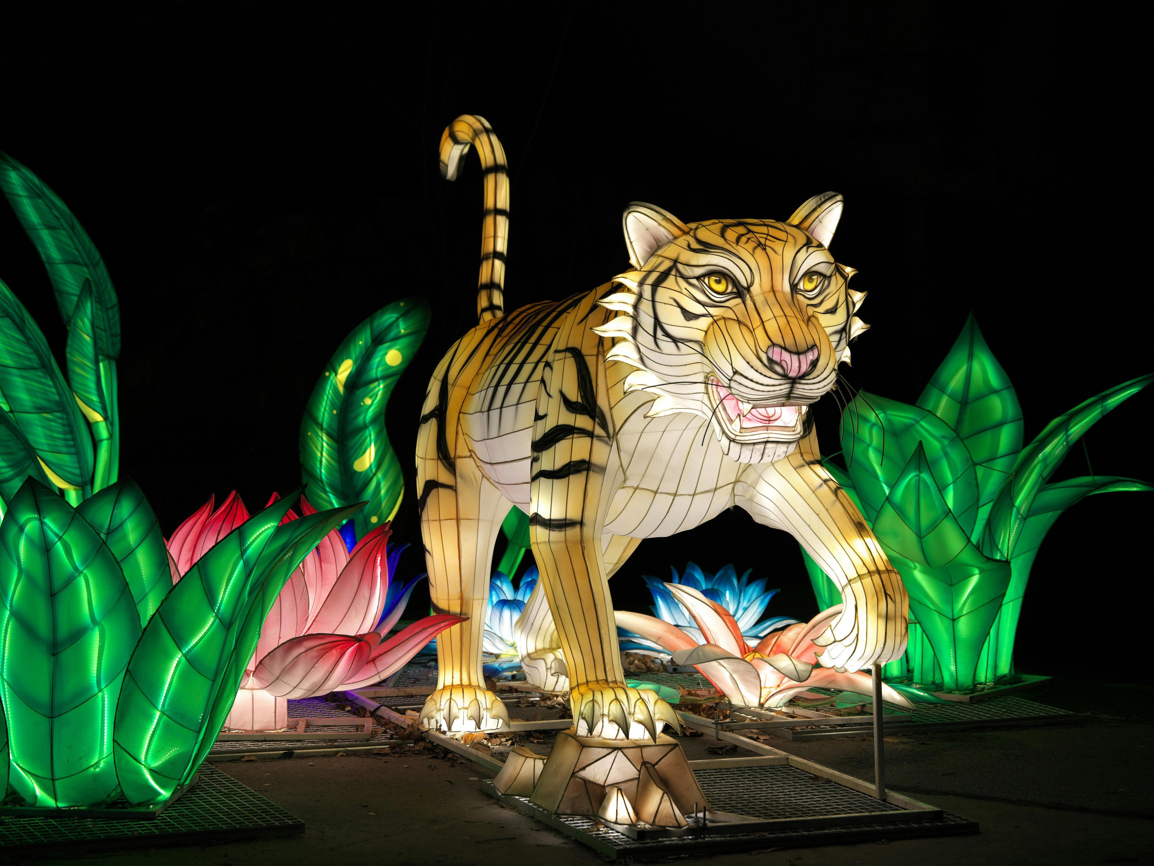 Take the family on a magical day trip to Chester Zoo, just an hour from Manchester! From 14 Nov to 3 Jan, visit the animals during the day and, as night falls, watch the zoo transform into a glowing wonderland. Follow the illuminated trail filled with lanterns, light displays and animal-shaped puppets – a festive experience for all ages.