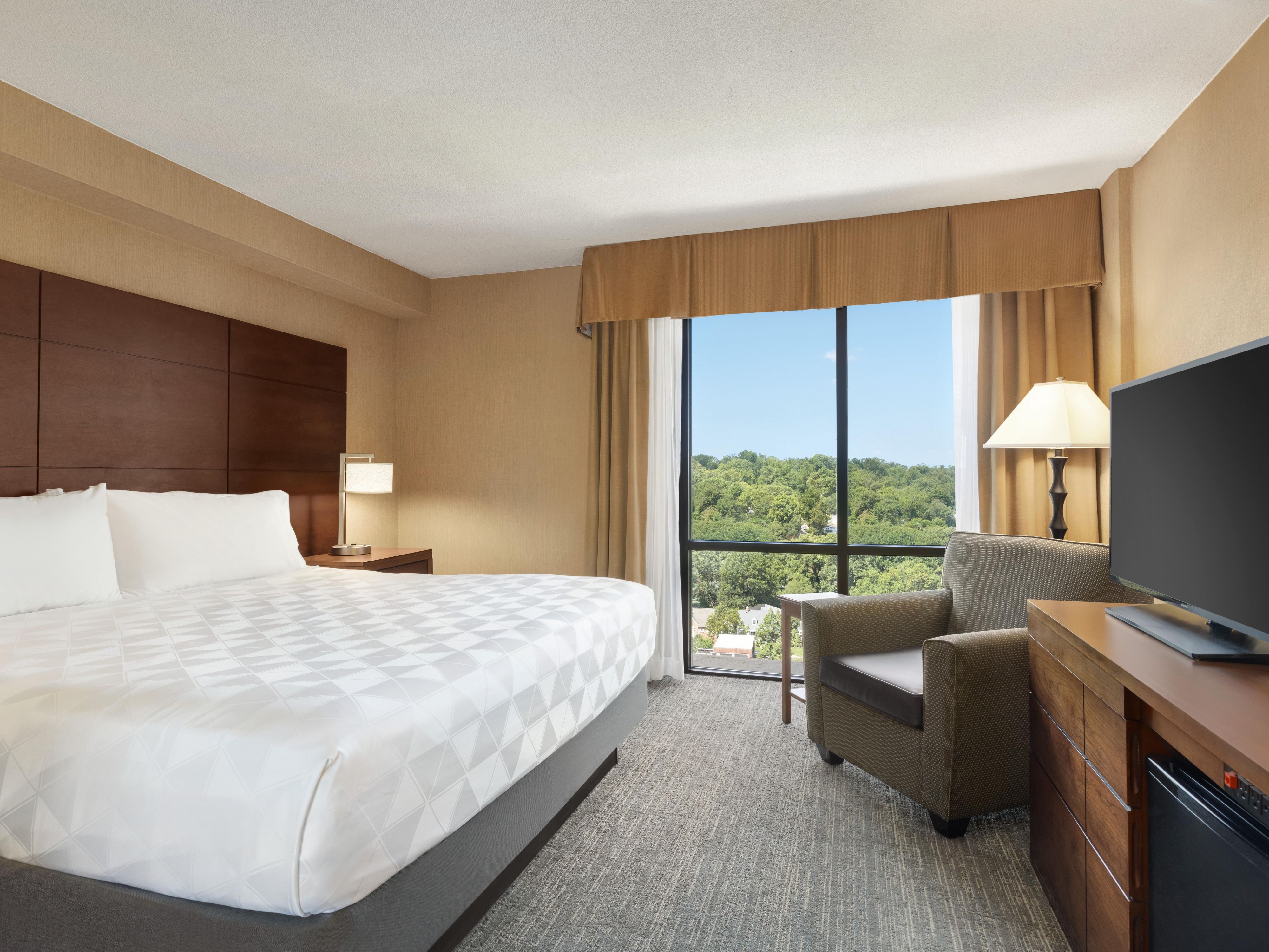 Reagan Airport Hotels in Arlington Holiday Inn National Airport