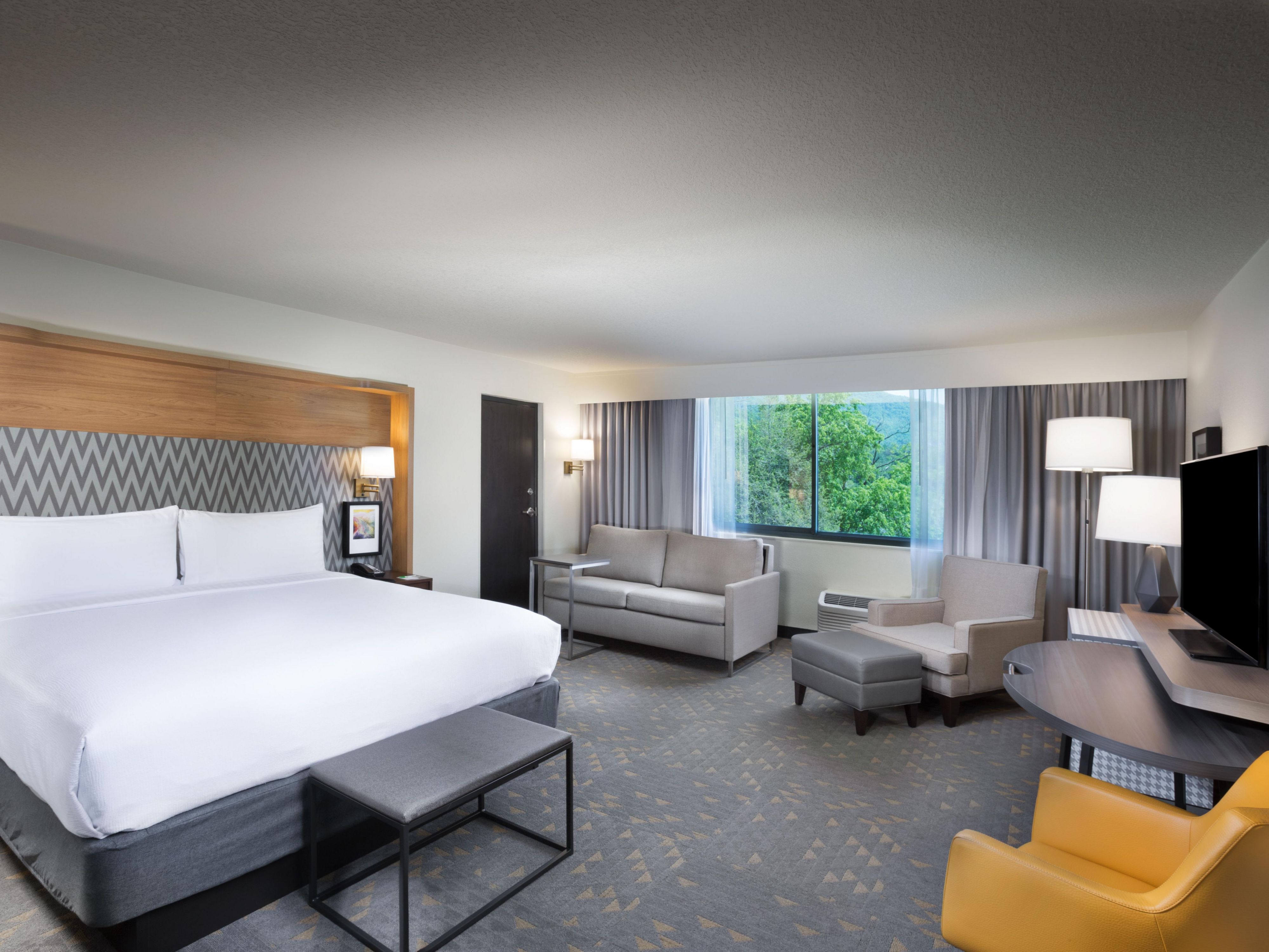 Modern Newly Renovated Mountain View King Suite Room.