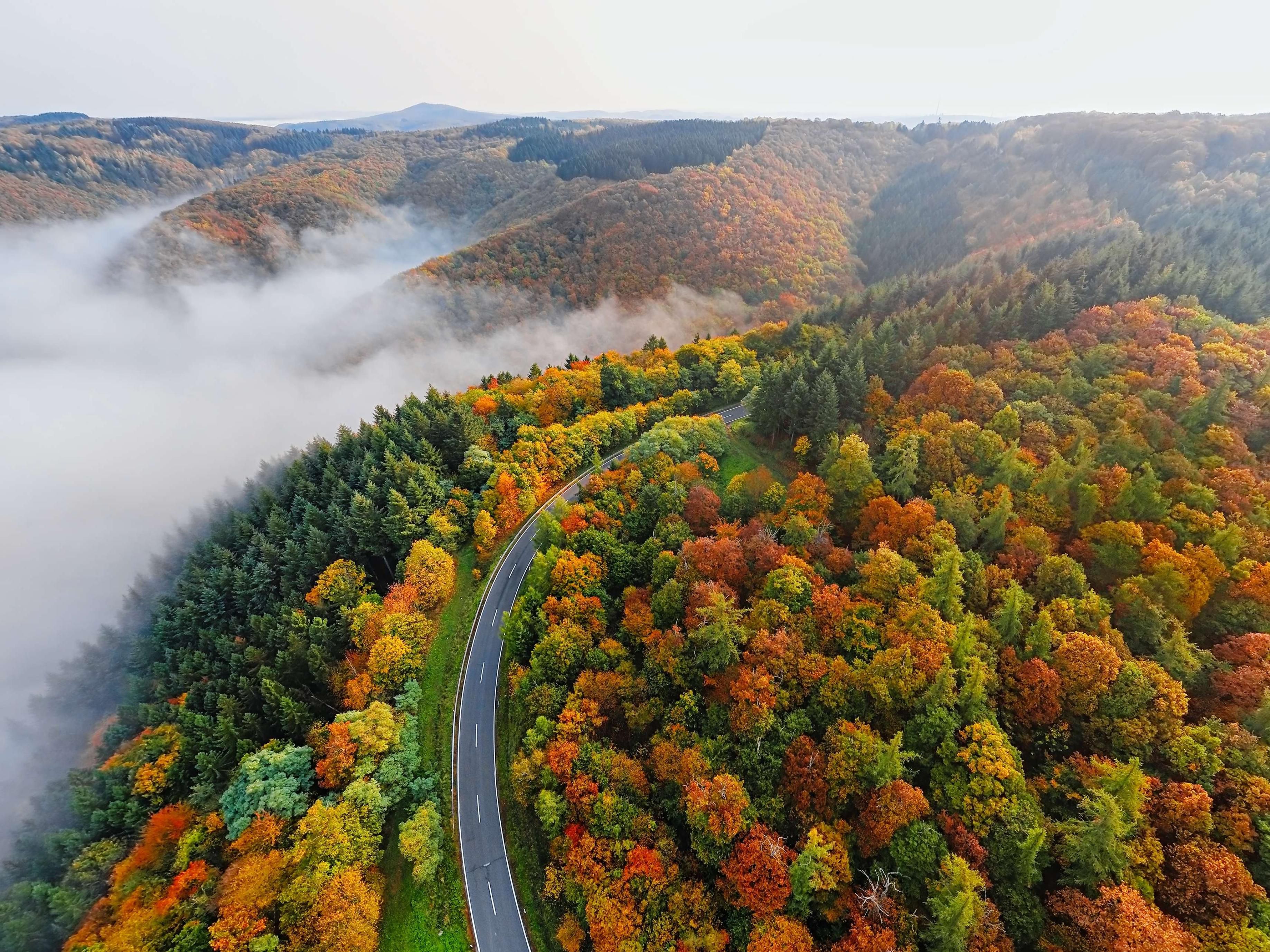 Experience the breathtaking beauty of autumn in Asheville, where vibrant reds, oranges, and yellows paint the landscape. Explore scenic drives along the Blue Ridge Parkway, hike through stunning trails, and enjoy local festivals celebrating the season. Don’t miss your chance to witness nature’s spectacular show—plan your fall getaway to Asheville!