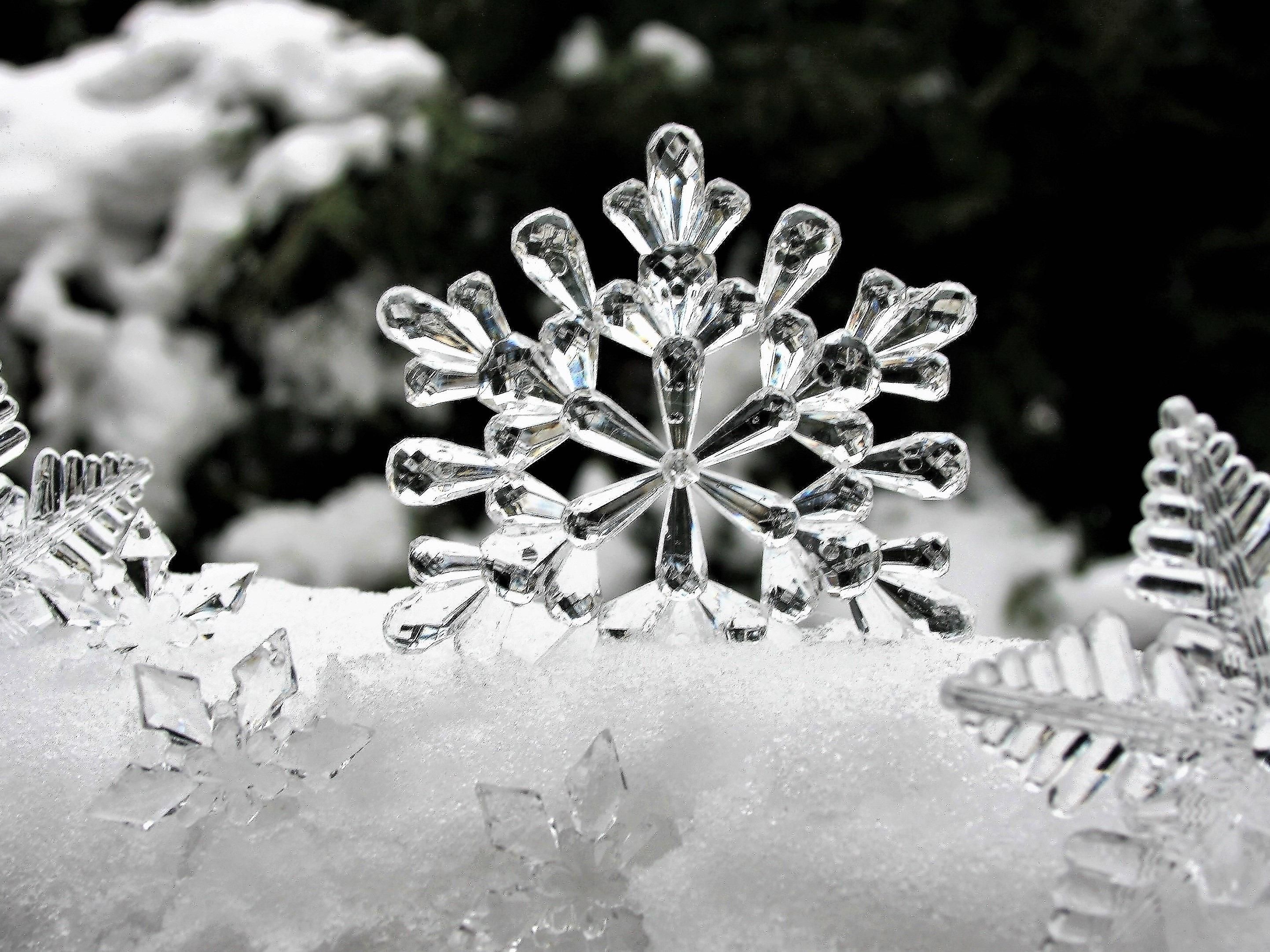 Escape to the scenic beauty of Auburn and enjoy a cozy discount to stay in the heart of the finger lakes region. Special offer includes a 20 dollar food and beverage credit to use in the onsite restaurant. Offer only available for a limited time. Call the hotel for more details.