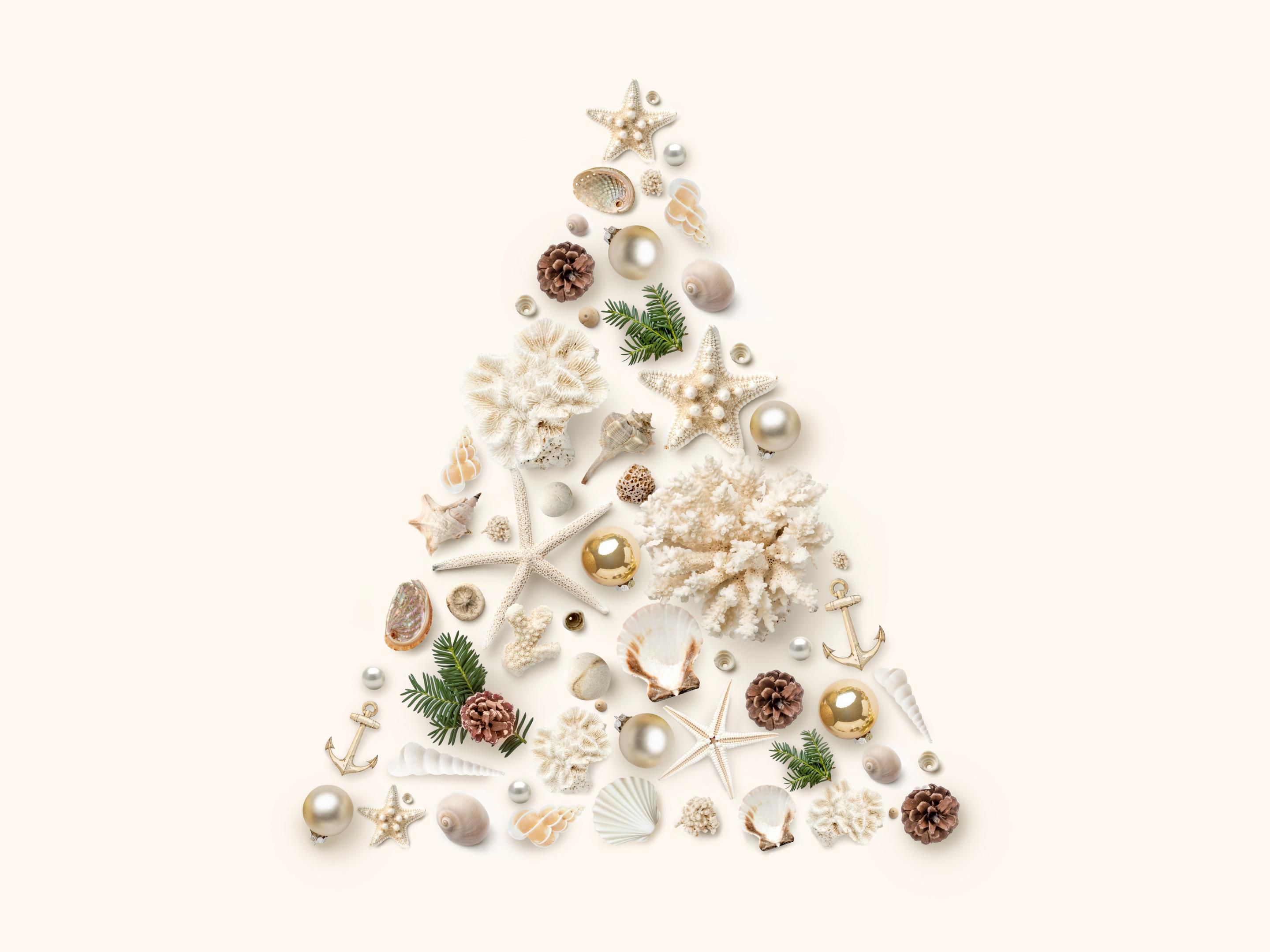 Tropical holiday Extravaganza