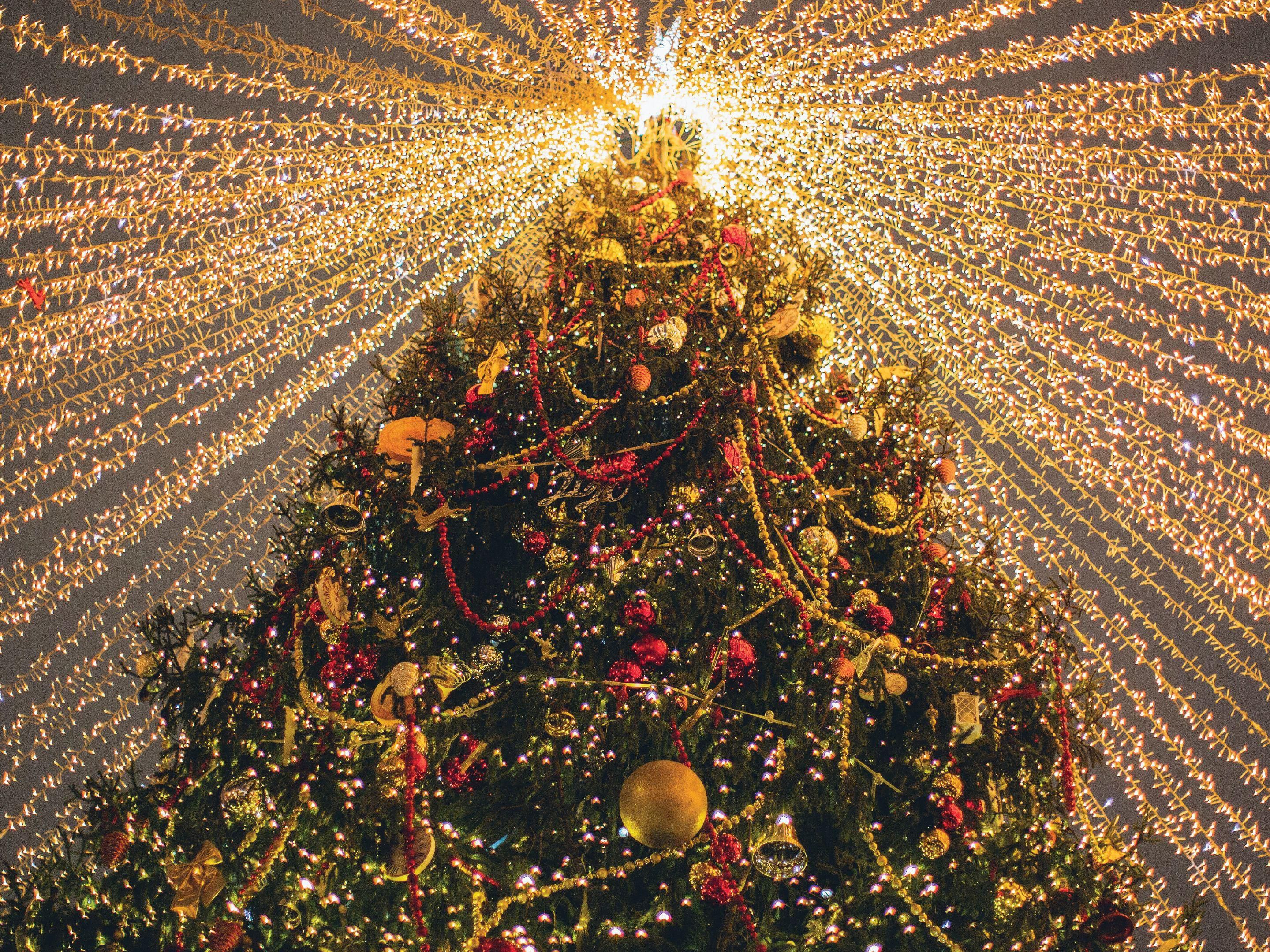 Festive Celebration 2023