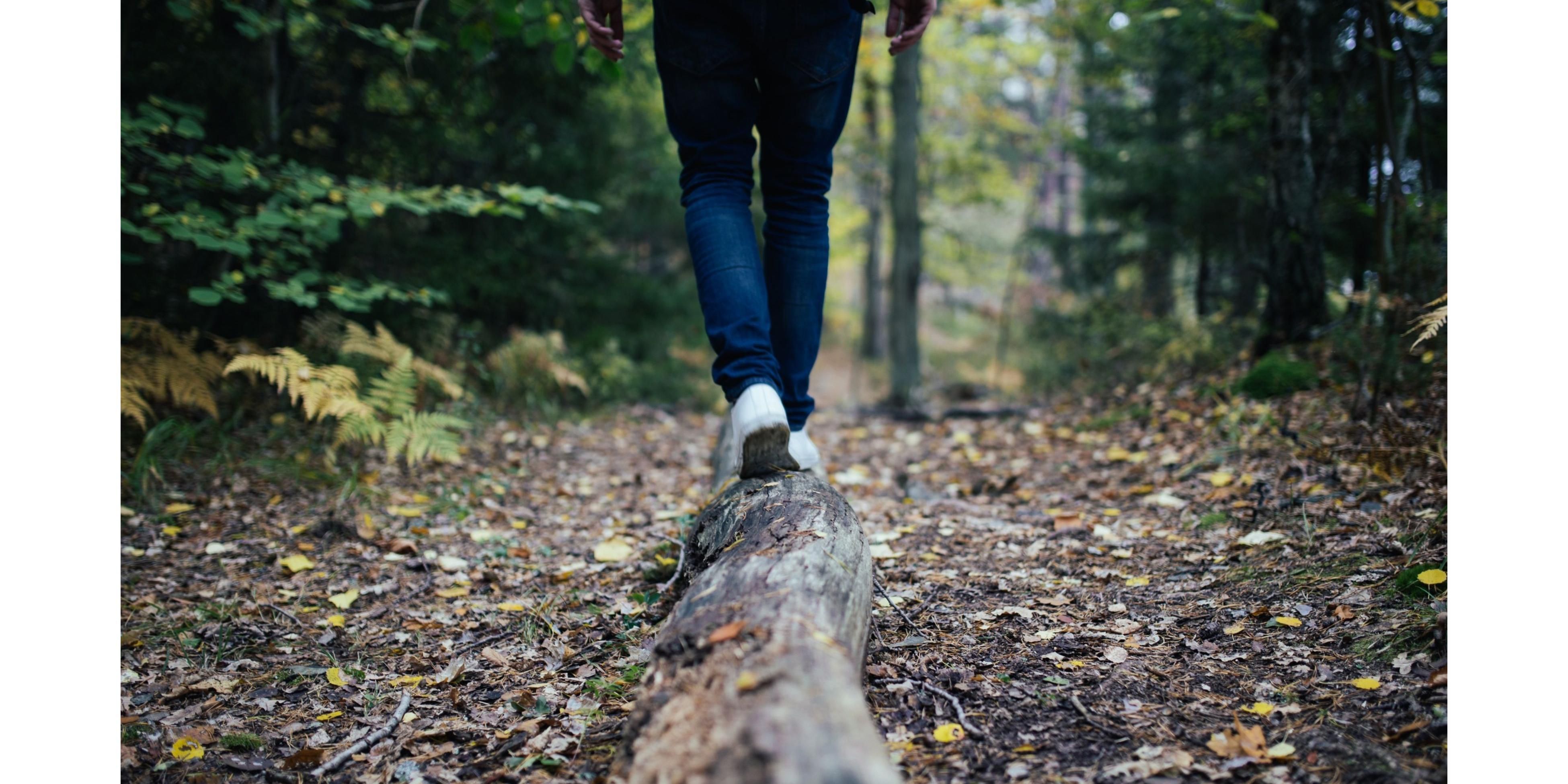 Enjoy the beautiful scenery and listen to the calming sounds of the Muskegon River on the River Walk.   Enjoy the playgrounds in one of our parks or just slip into nature on the Dragon Trail offering over 30 miles of beautiful views for hikers, bikers and nature enthusiasts. 