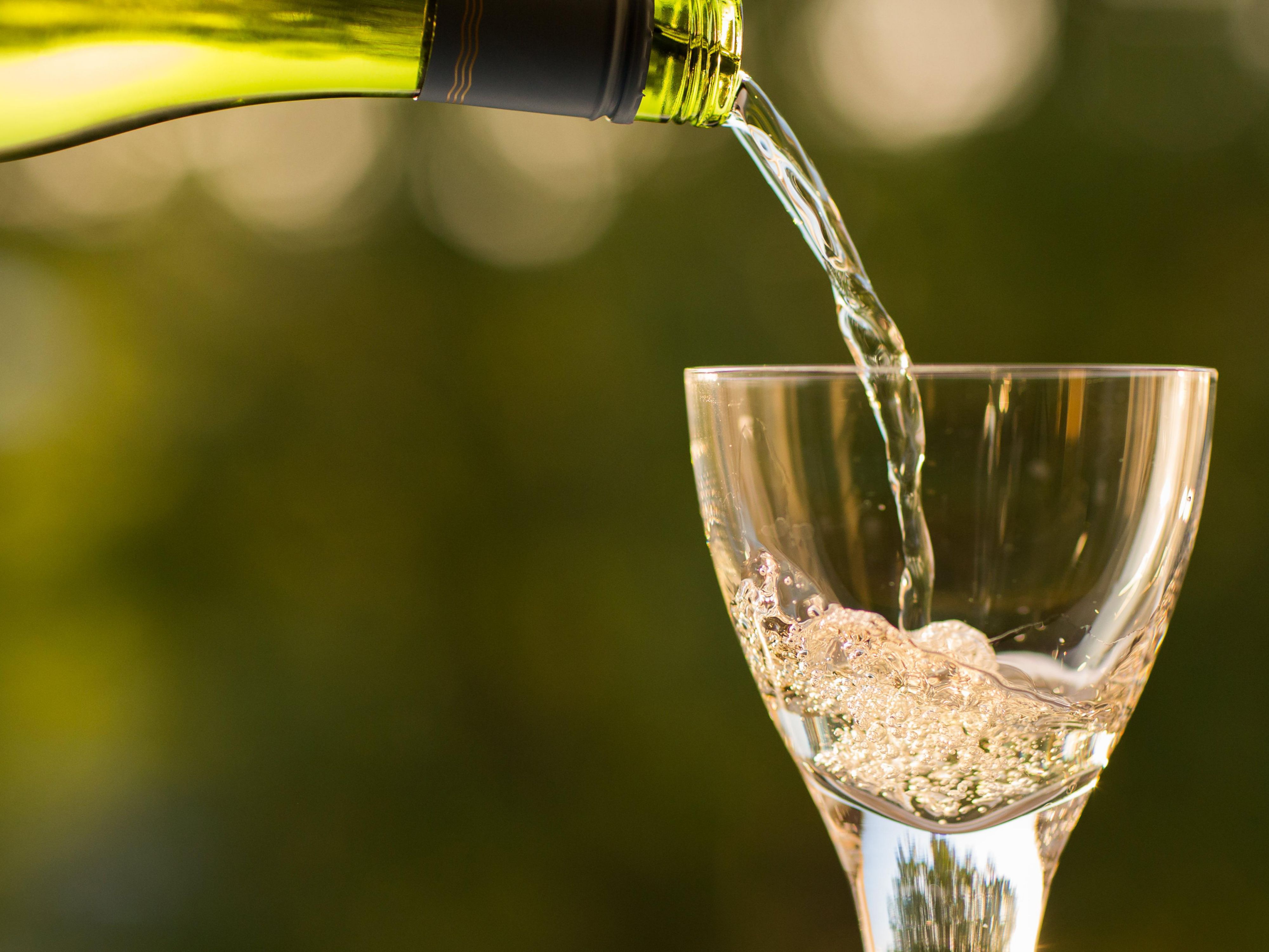 One Idaho's best kept secret is it's world-class wines!  Passionate growers and winemakers from all over began to take note of our diverse soils, warm days, and cool nights making Idaho one of the best wine growing destination in the U.S.A.  Enjoy over a dozen wineries right here in the Boise Valley!  Holiday Inn makes a great starting point!  