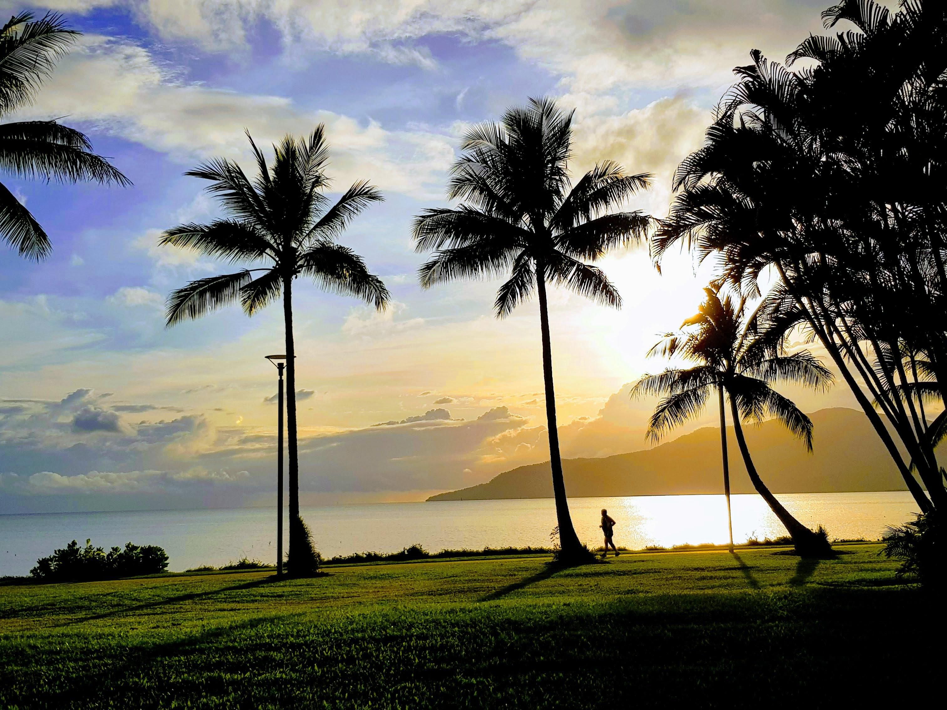 With breathtaking mountain or ocean views, you can be sure to wake up to a beautiful, tropical landscape. With rooms overlooking Trinity Bay and the Coral Sea or sweeping mountain views, guests will never be disappointed.