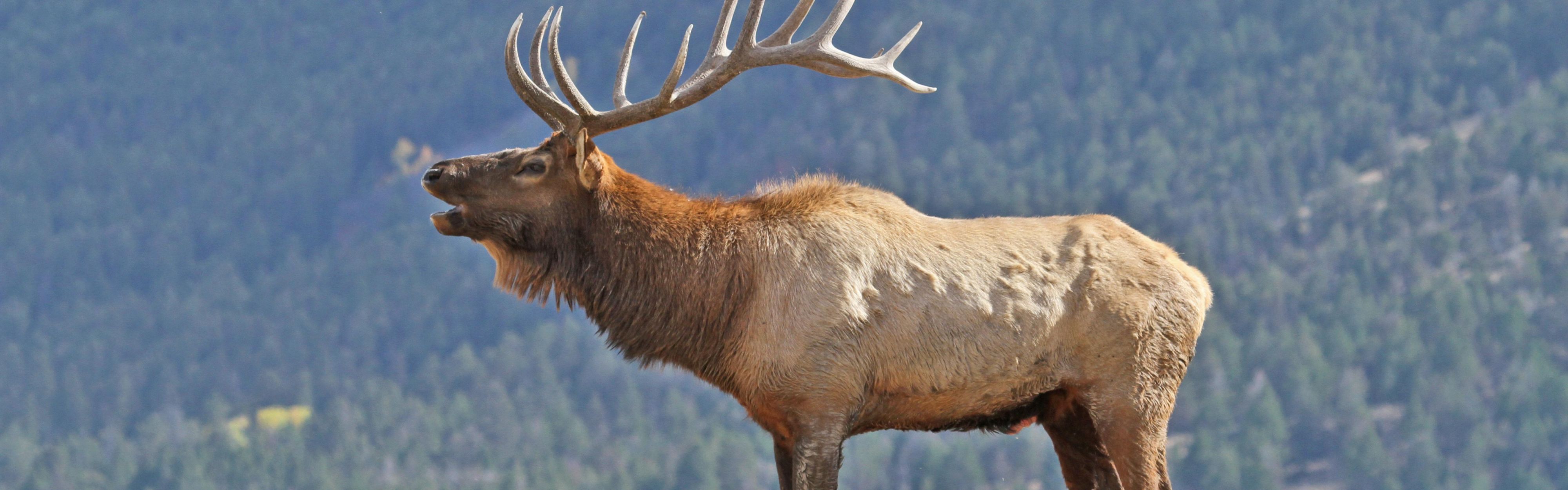 Holiday Inn 坎莫尔洲际旗下酒店