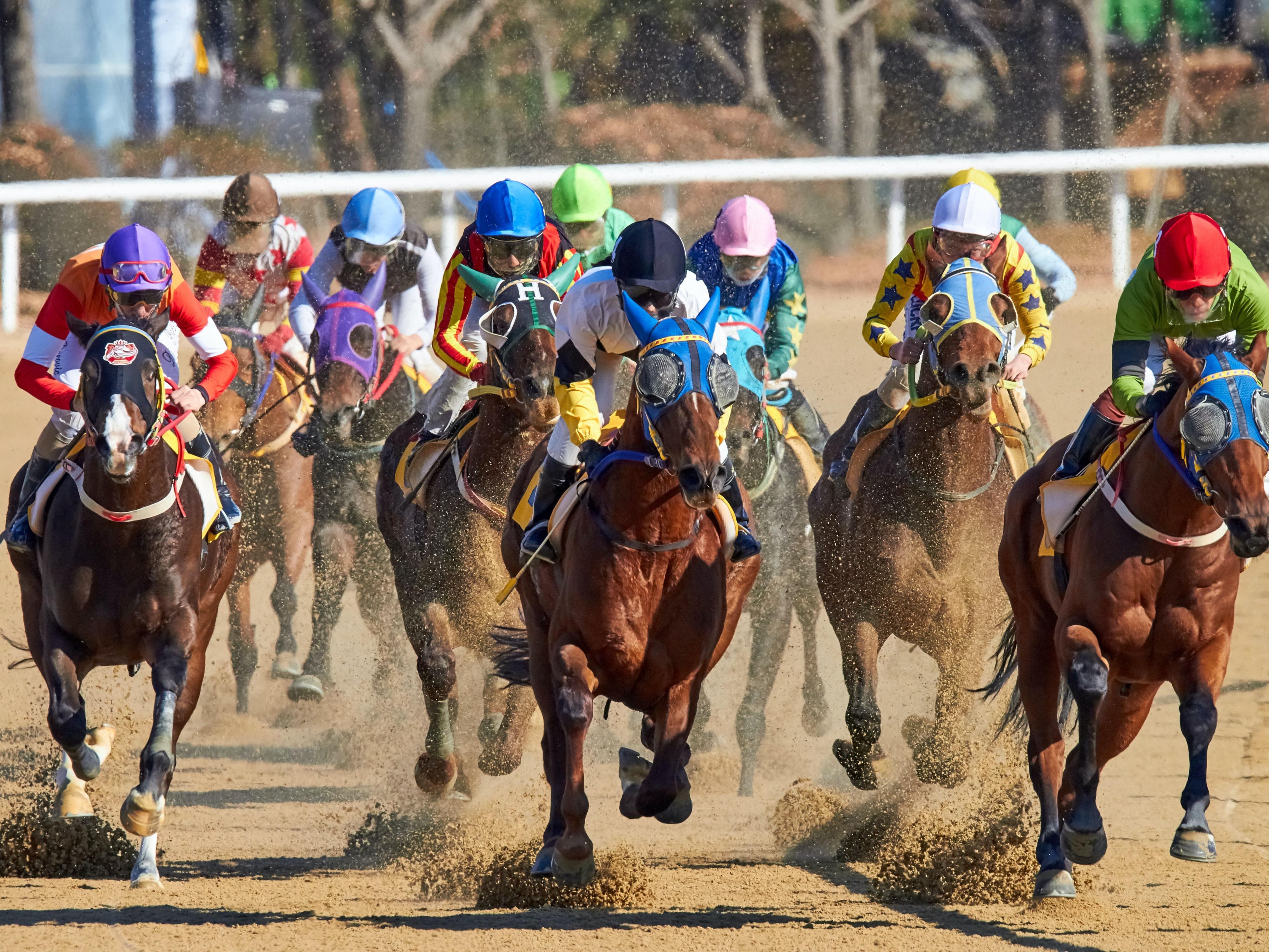 Thrilling horse racing at Del Mar