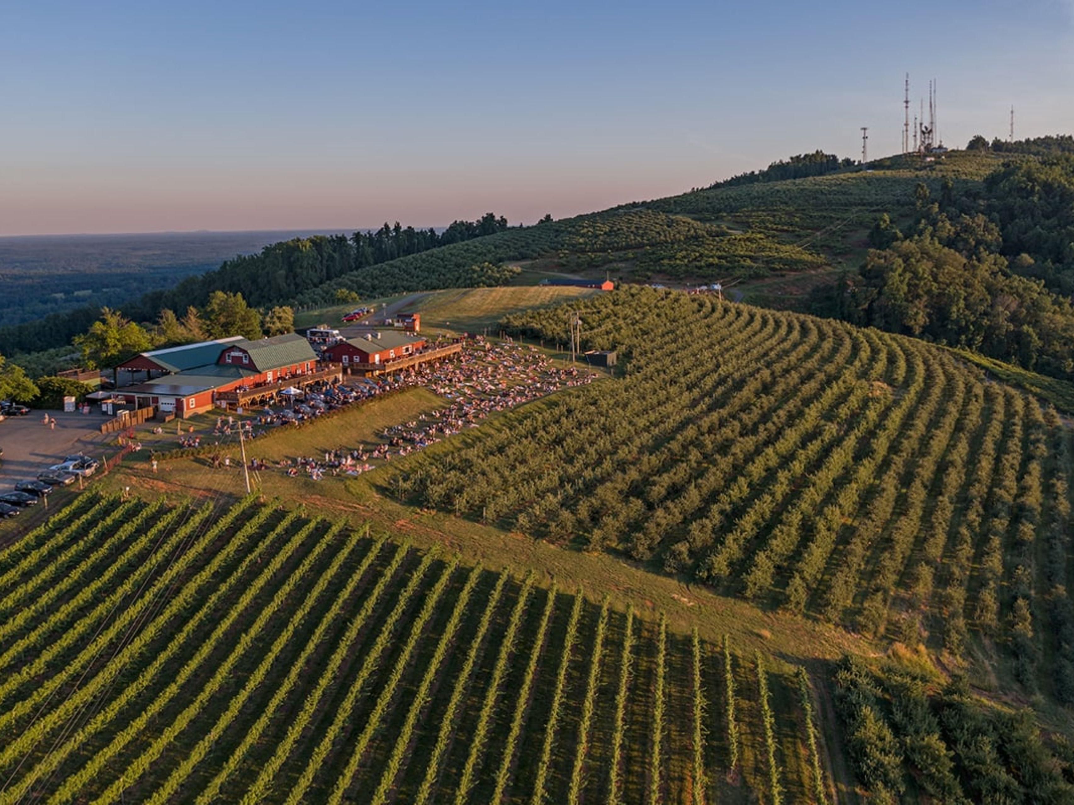 Carter Mountain Orchard is a family-owned and operated farm. Situated atop a mountain, the orchard offers stunning views of the surrounding countryside and has been in operation since 1912.