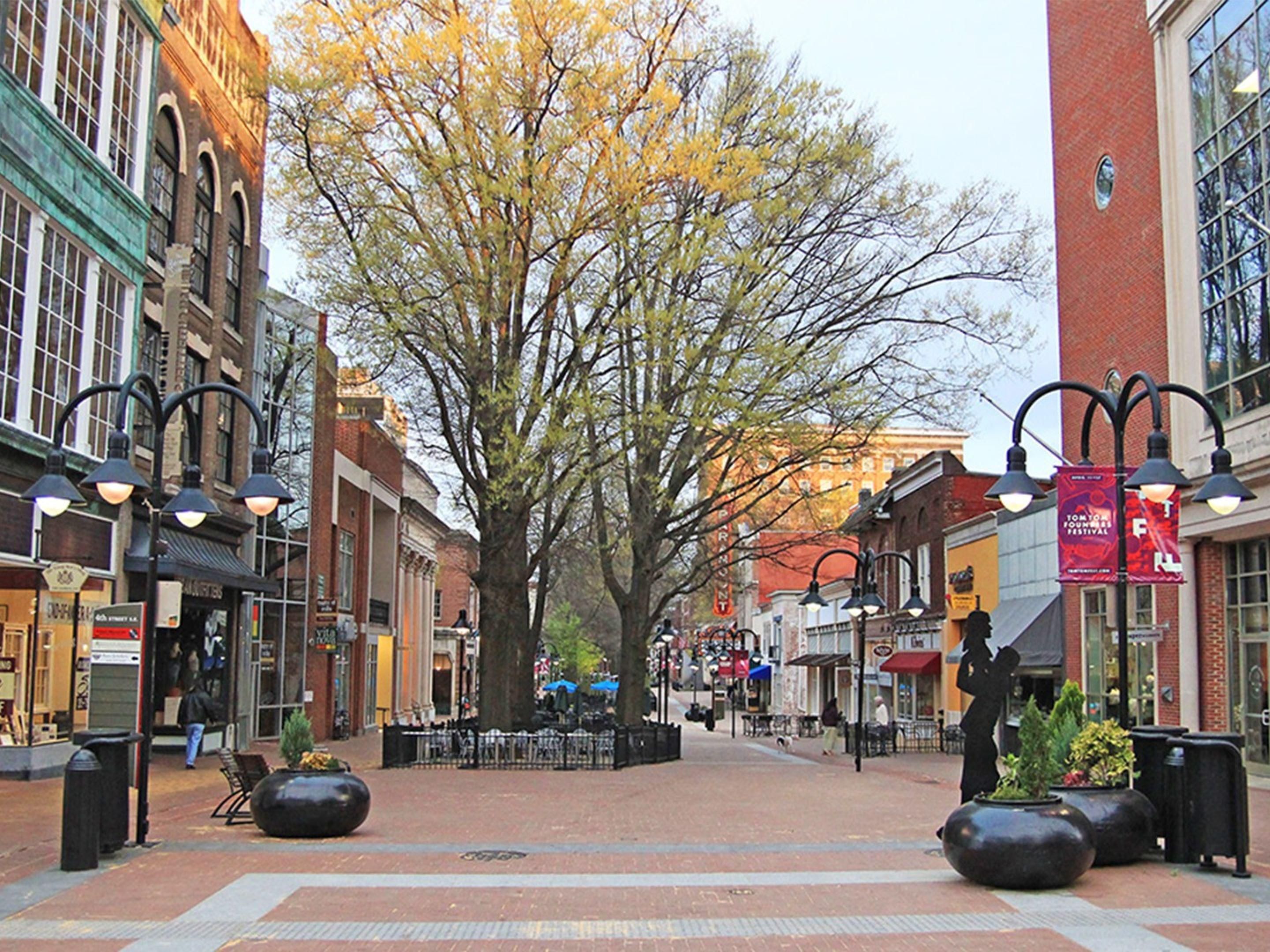 Discover the charm and rich history of Downtown Charlottesville, just minutes from our hotel. Stroll along the vibrant Downtown Mall, one of the longest pedestrian malls in the country, lined with unique boutiques, local restaurants, live music venues, and historic architecture whether you're here for sightseeing, shopping, or dining.