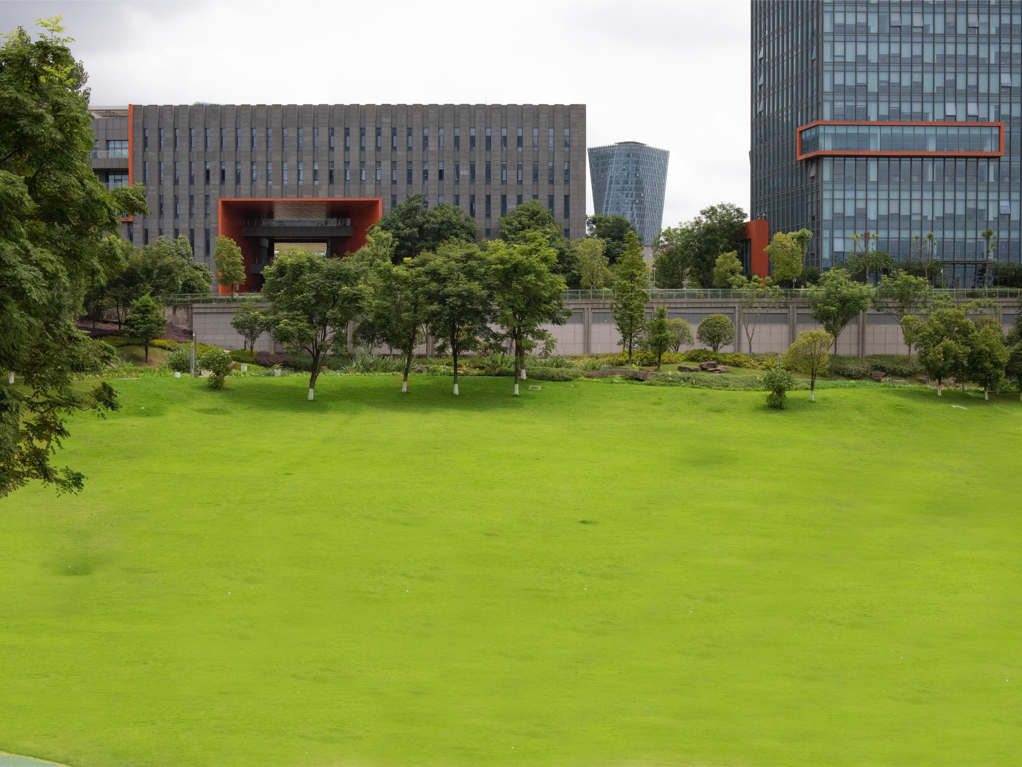 Hotel in Chongqing | Holiday Inn Chongqing Data Valley Hotel