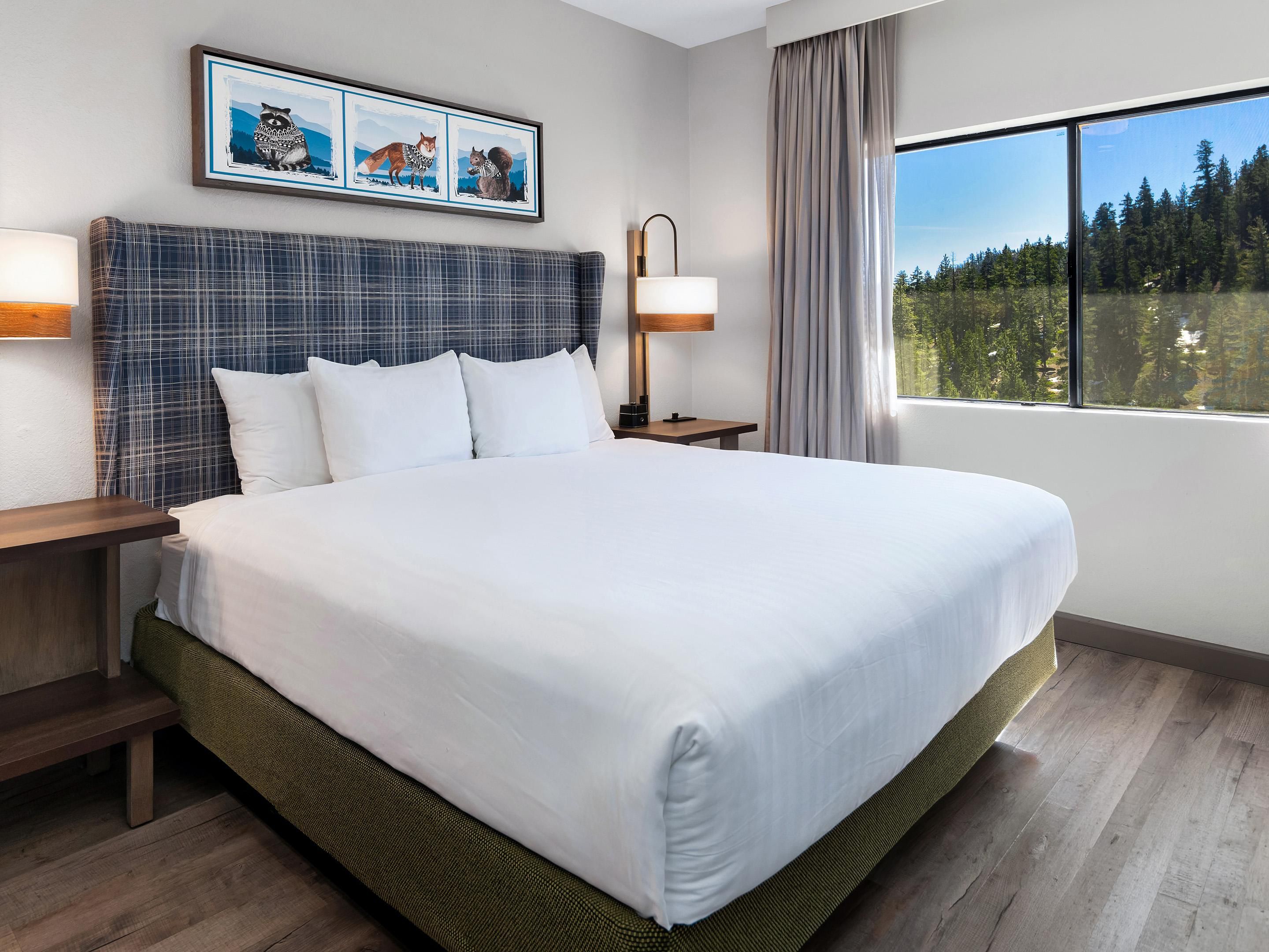 Chambre King avec vue sur la forêt et tête de lit à plaid.