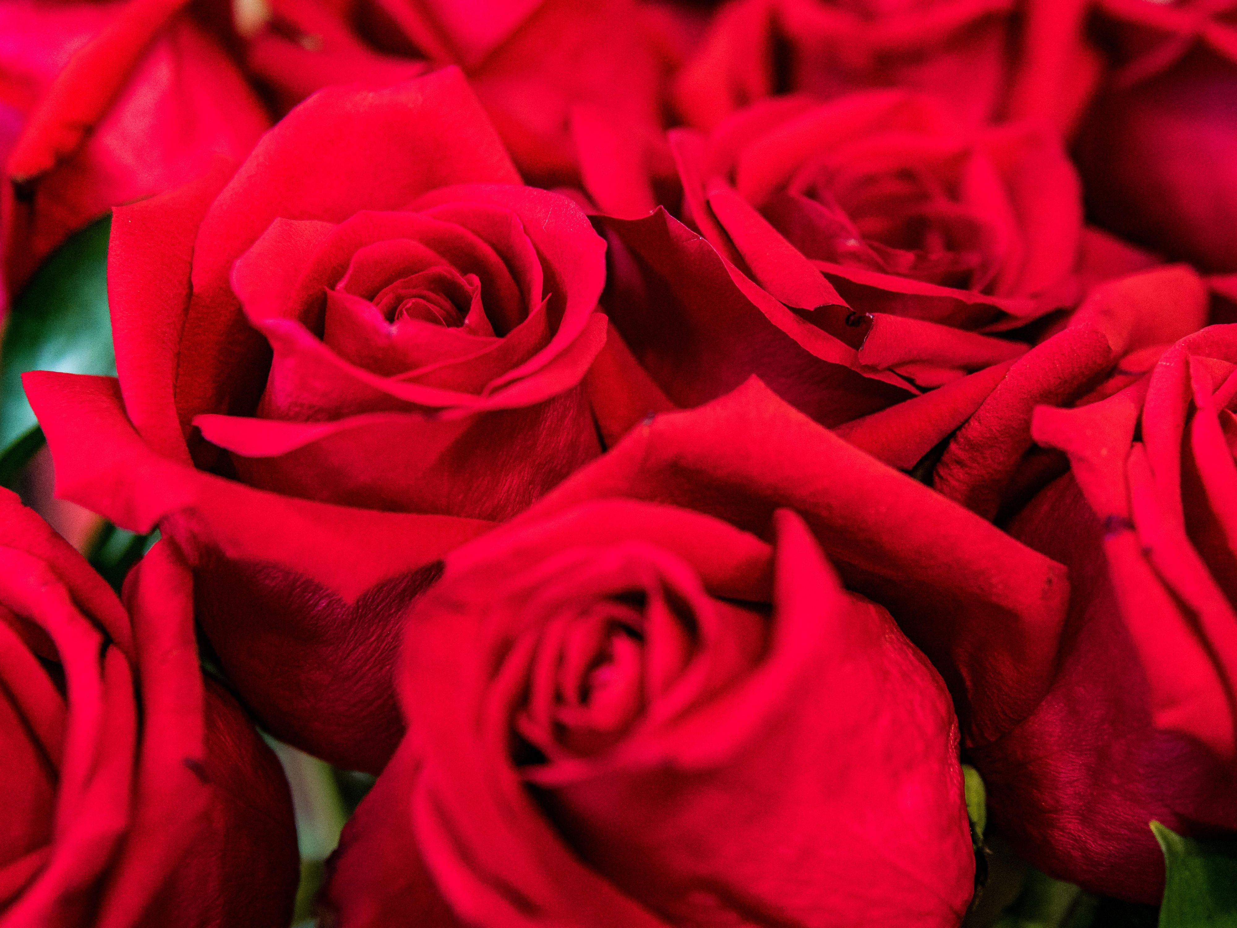 Available on February 13th and 14th, our Stay & Dine offering includes a 3-course dinner on our exclusive Valentine's menu with a glass of Prosecco, overnight accommodation and buffet breakfast.