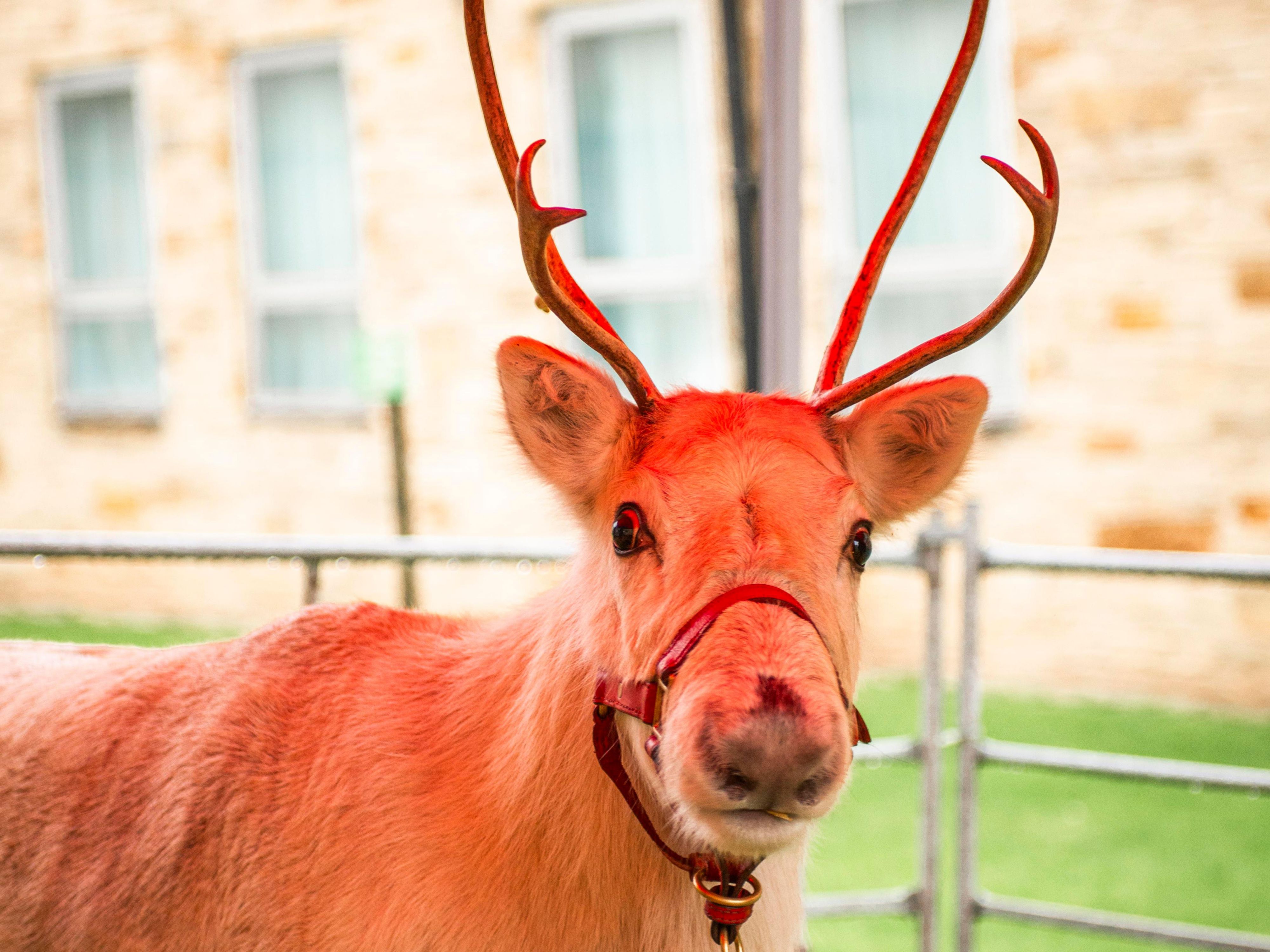 Hotel in Doncaster Holiday Inn Doncaster A1 (M), Jct.36 Hotel