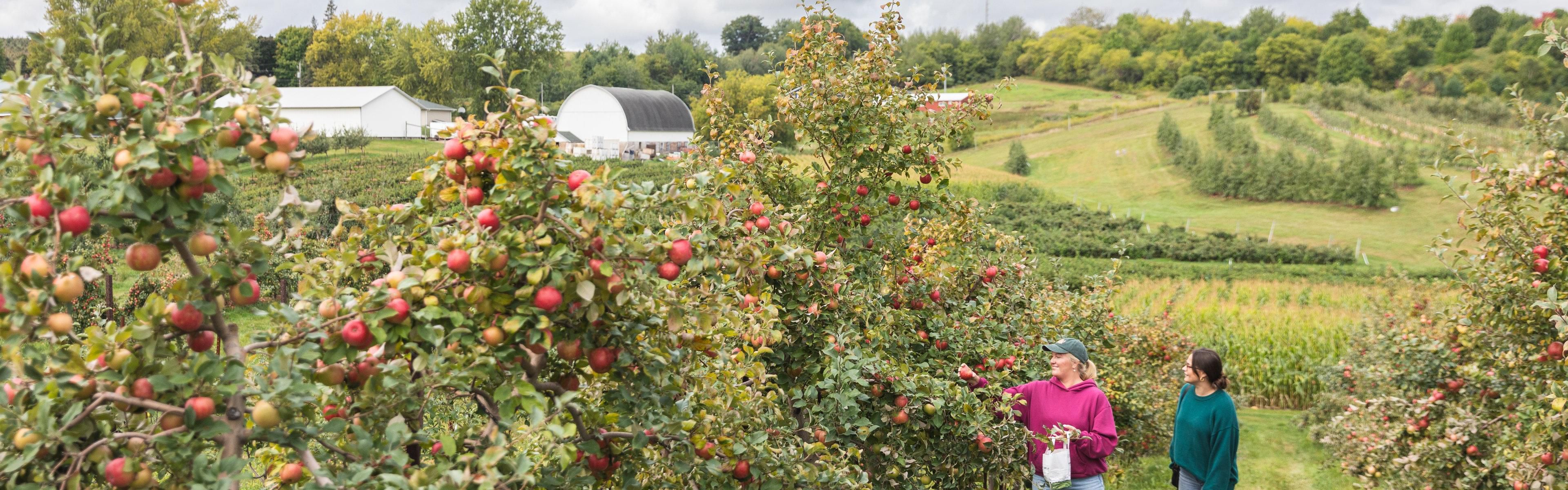 Minutes away from local orchards and berry patches
