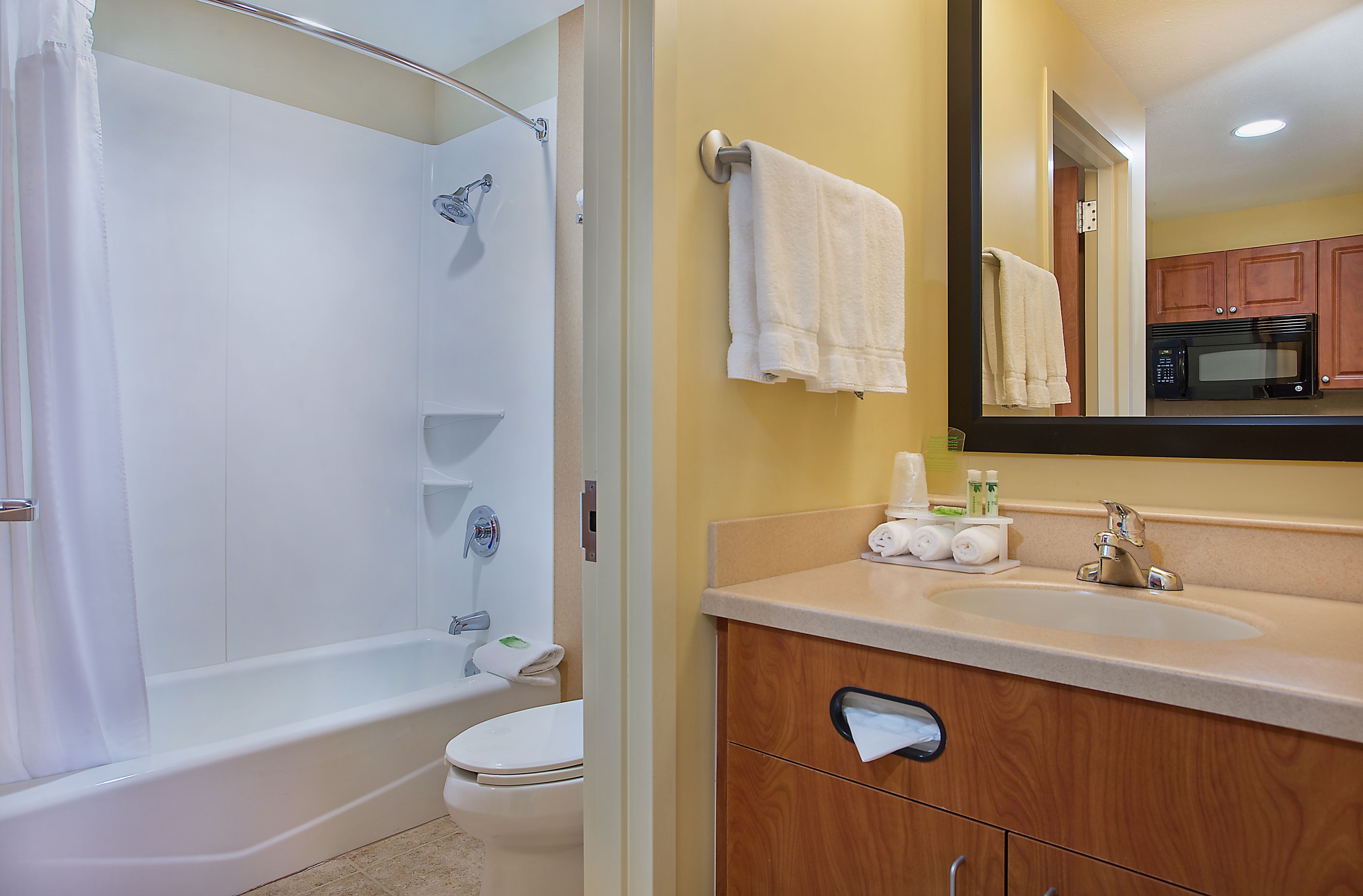 One Queen Bed Studio Suite Bathroom- Newgarden