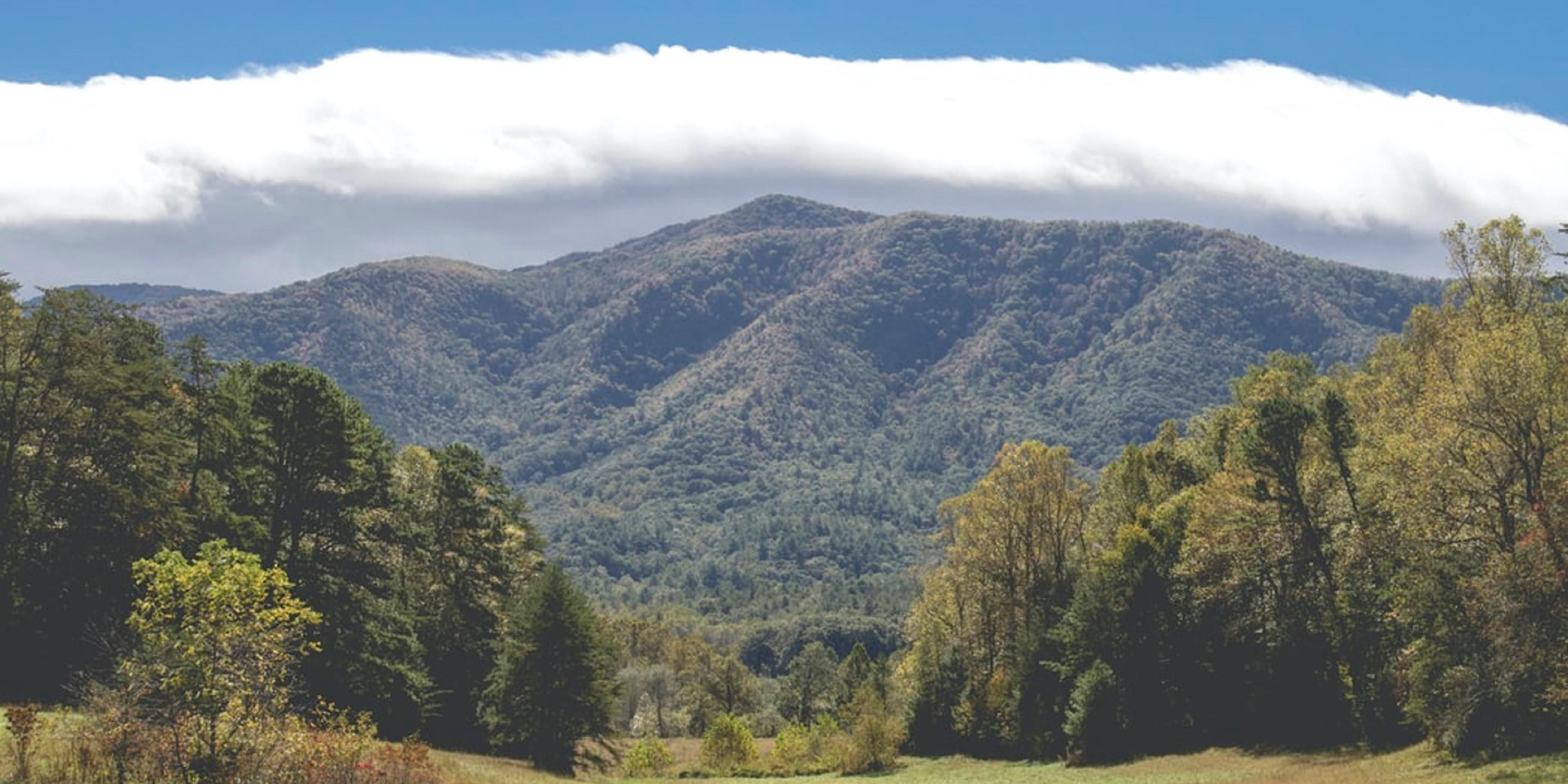 Explore the trails and the waterfalls of the Great Smoky Mountain National Park on foot with us as your home base. 
