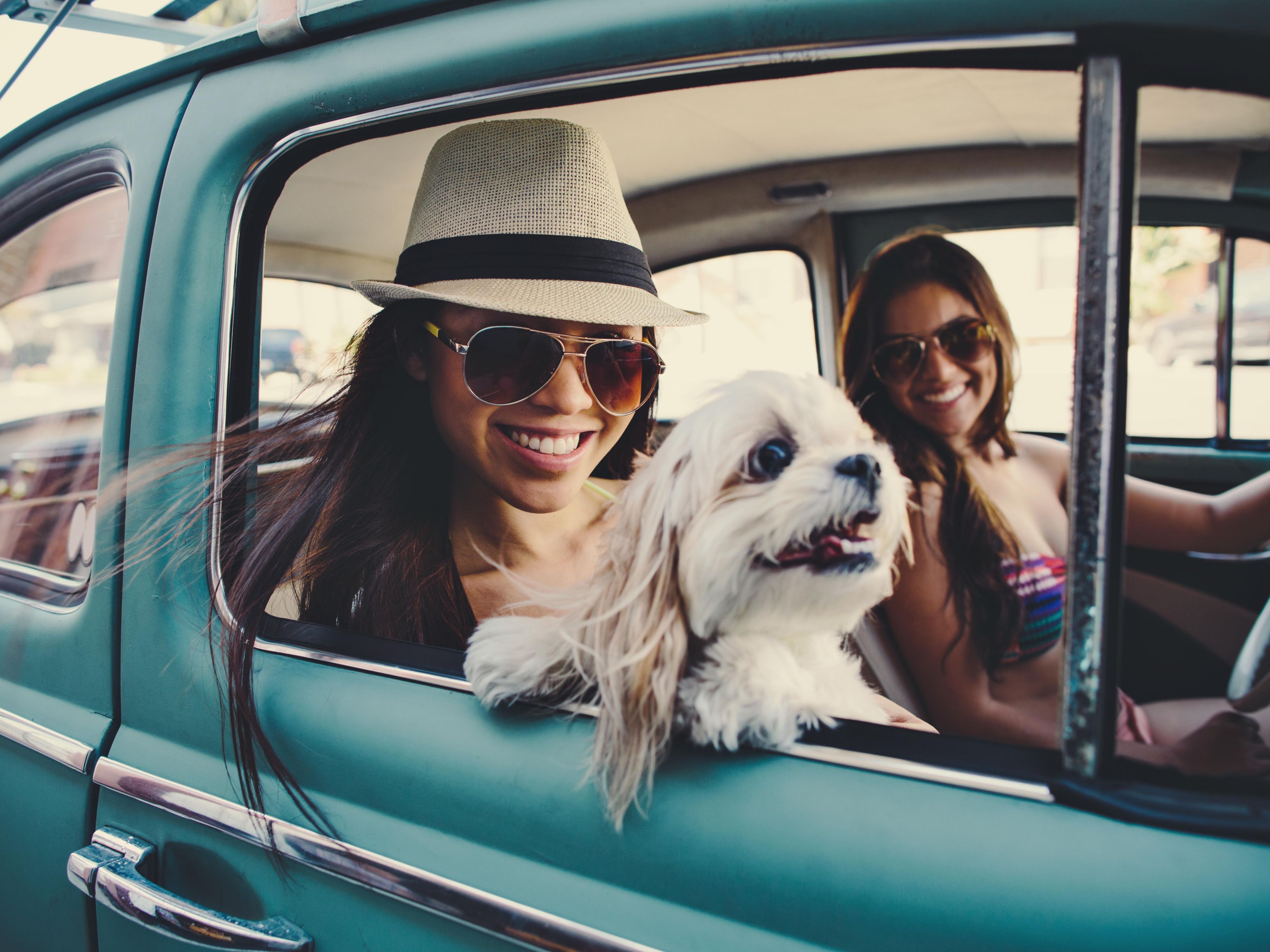 We are a dog-friendly hotel. Bring up to two dogs under 35 lbs., request a dog-friendly room, and simply pay a non-refundable $30 per dog, per day fee at the Holiday Inn Express & Suites Asheville SW - Outlet Ctr Area. A pet walking area is on-site & the front desk can share pet-friendly restaurants and breweries in the Asheville area.