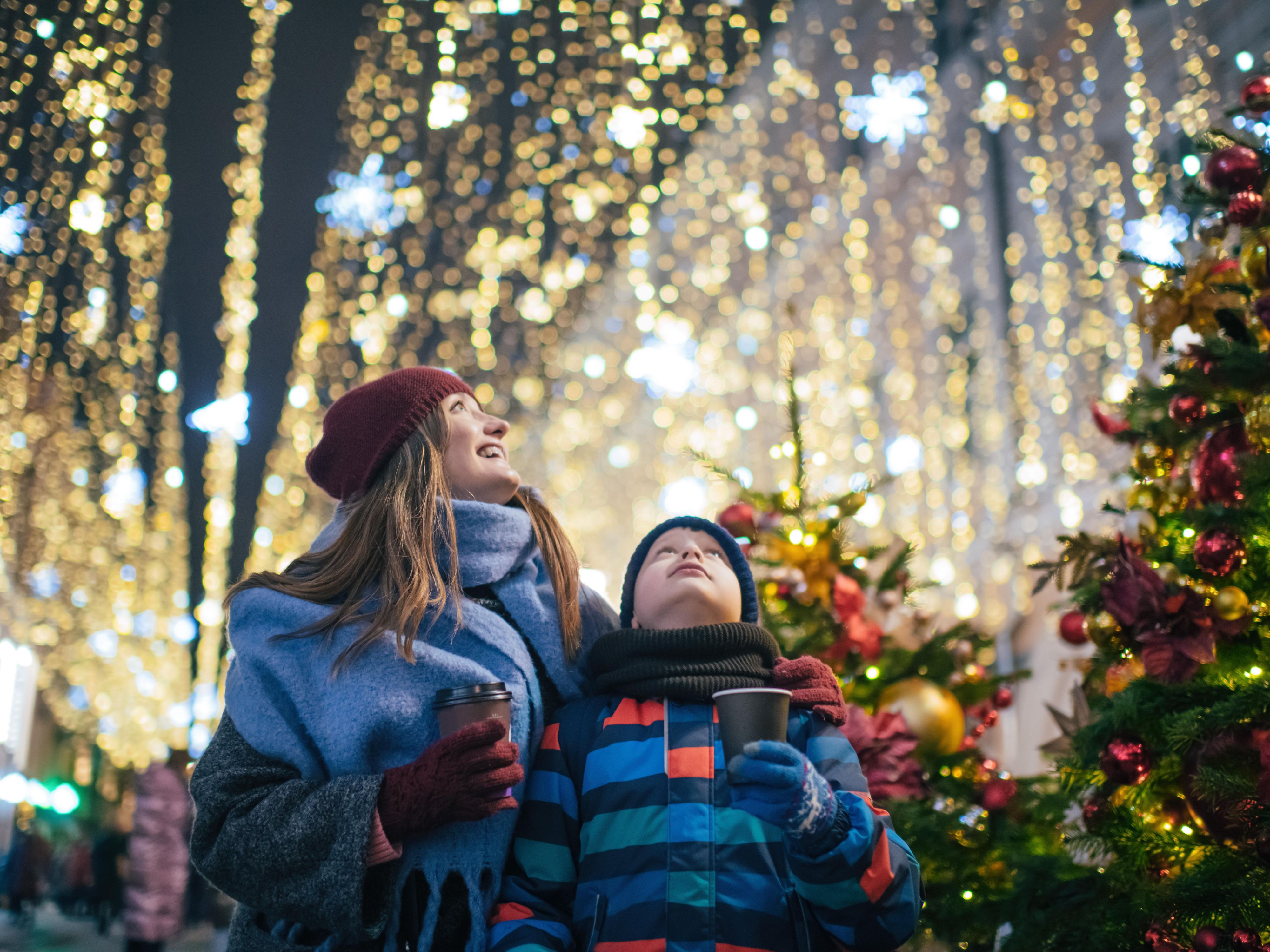 Winter Lights at NC Arboretum