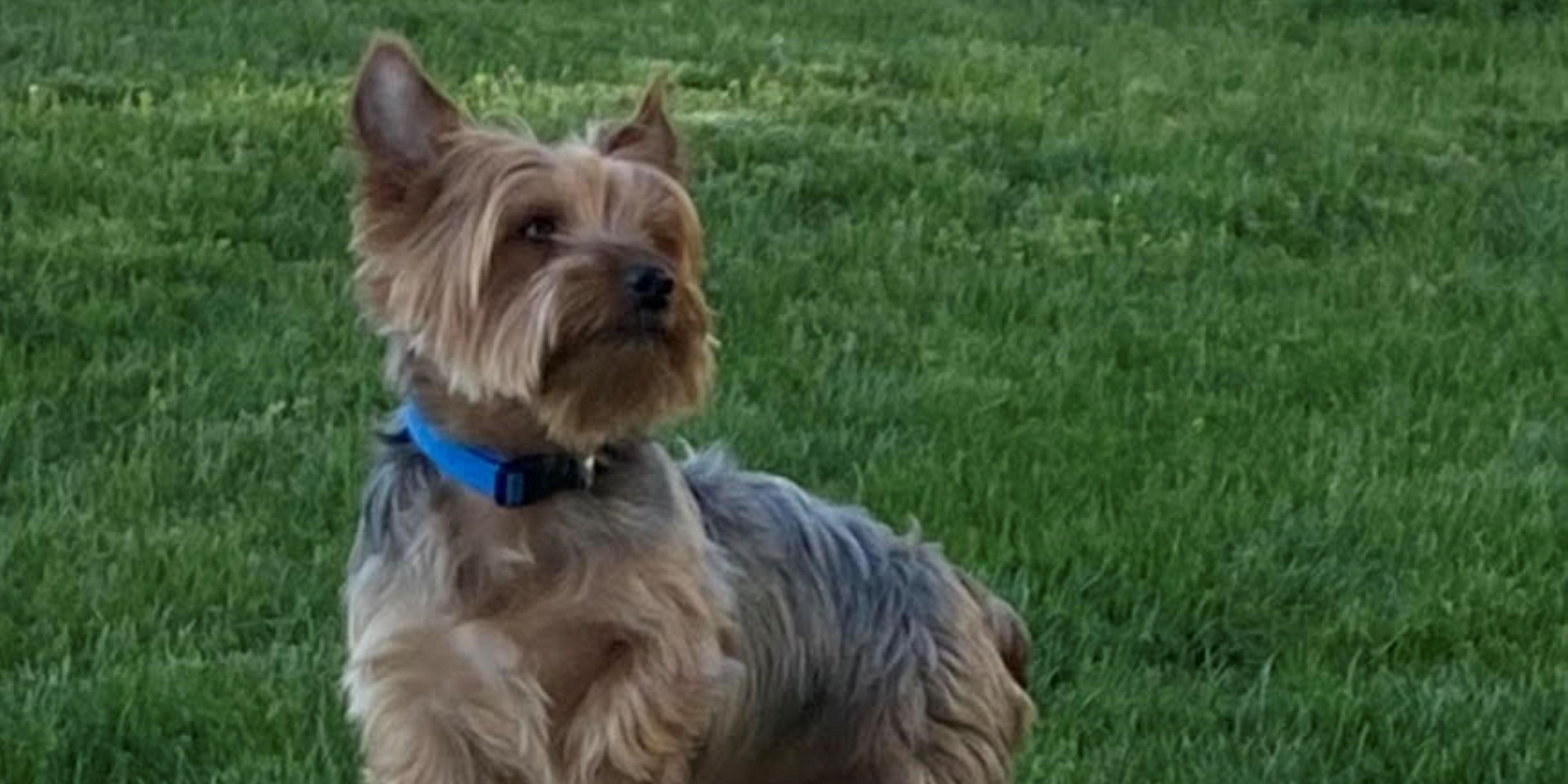 We love our pets! Be sure to bring them along. No pet left behind!