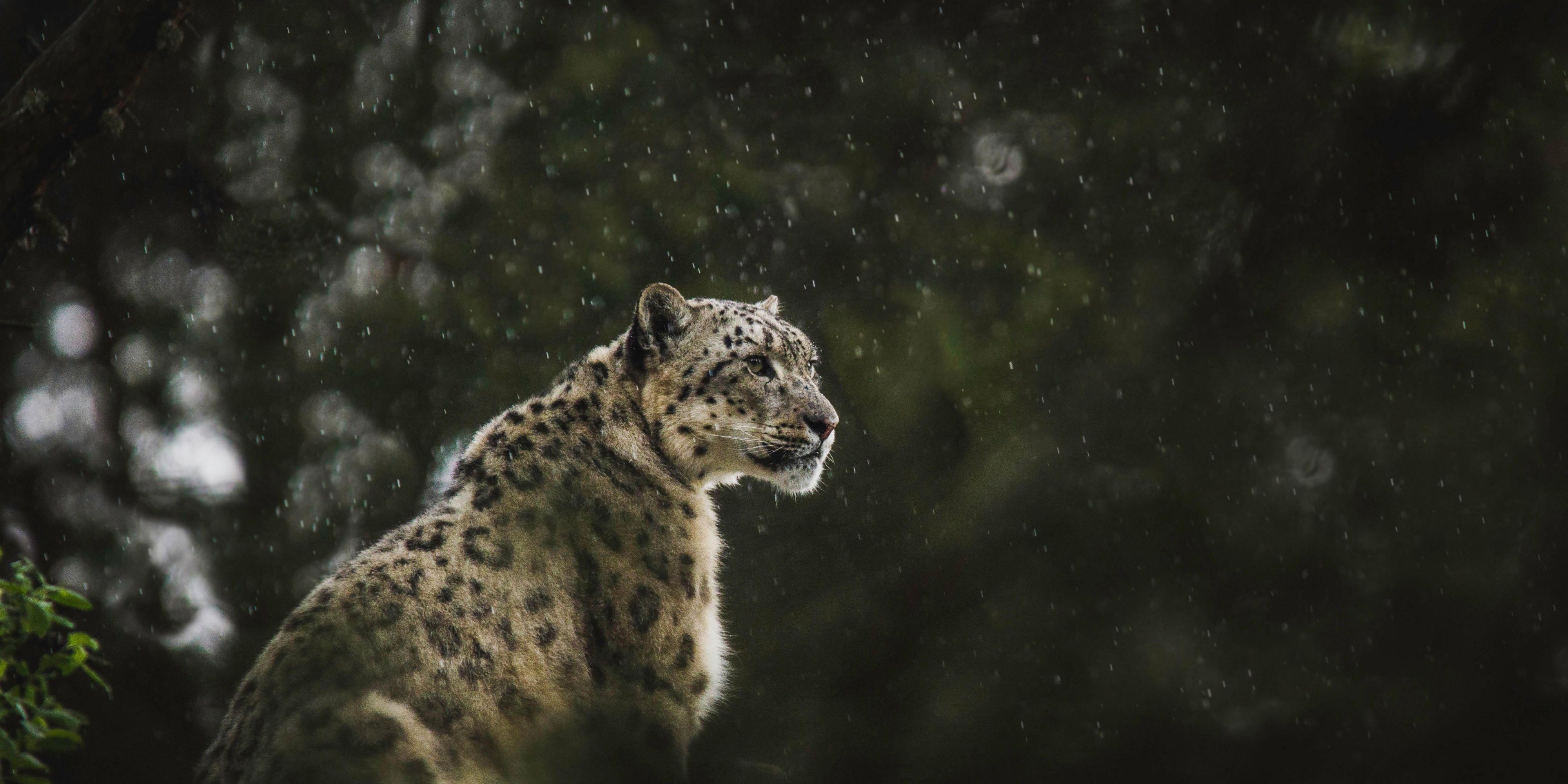Denver Zoo is a must see!