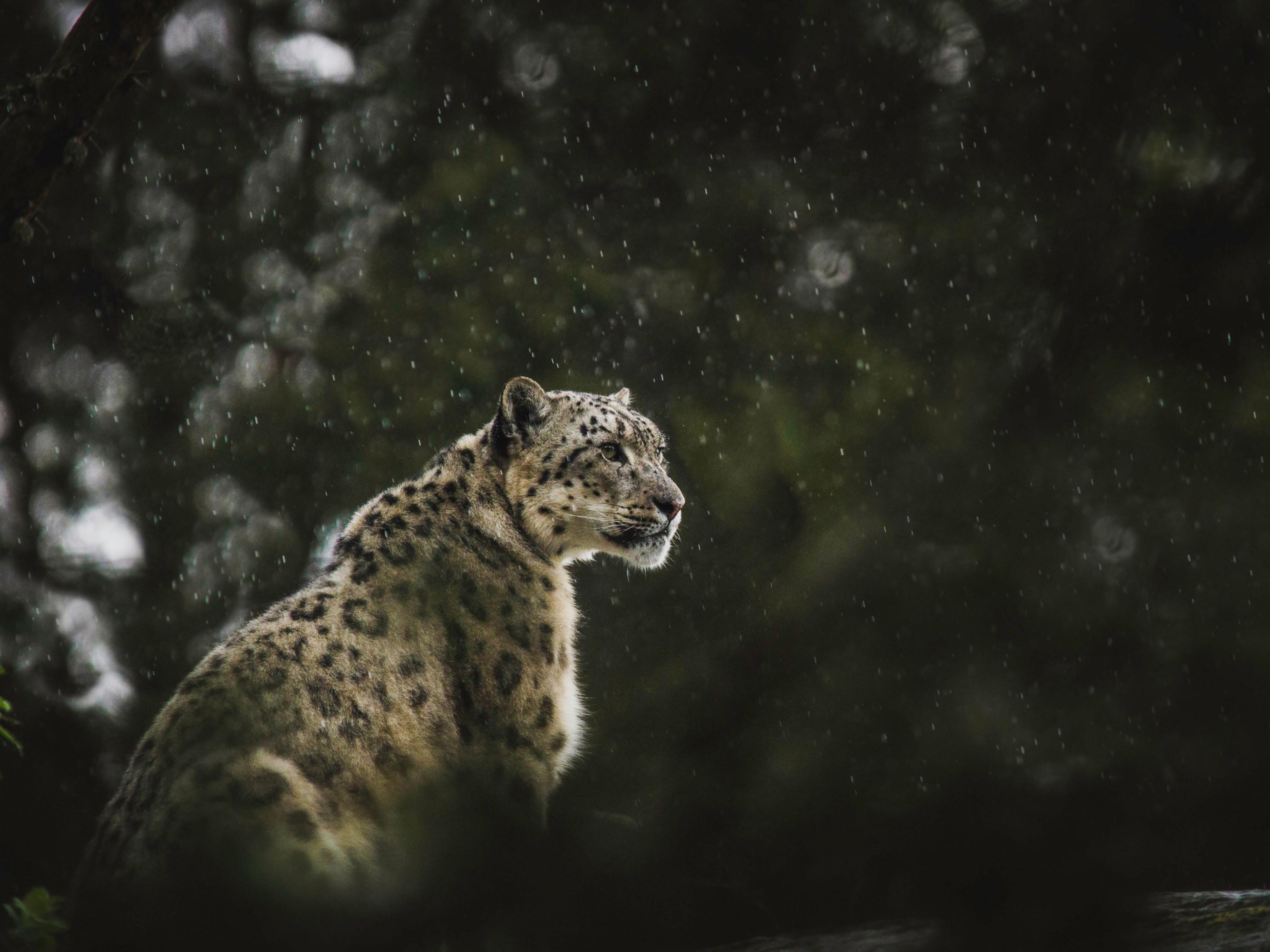 Denver Zoo is a must see!