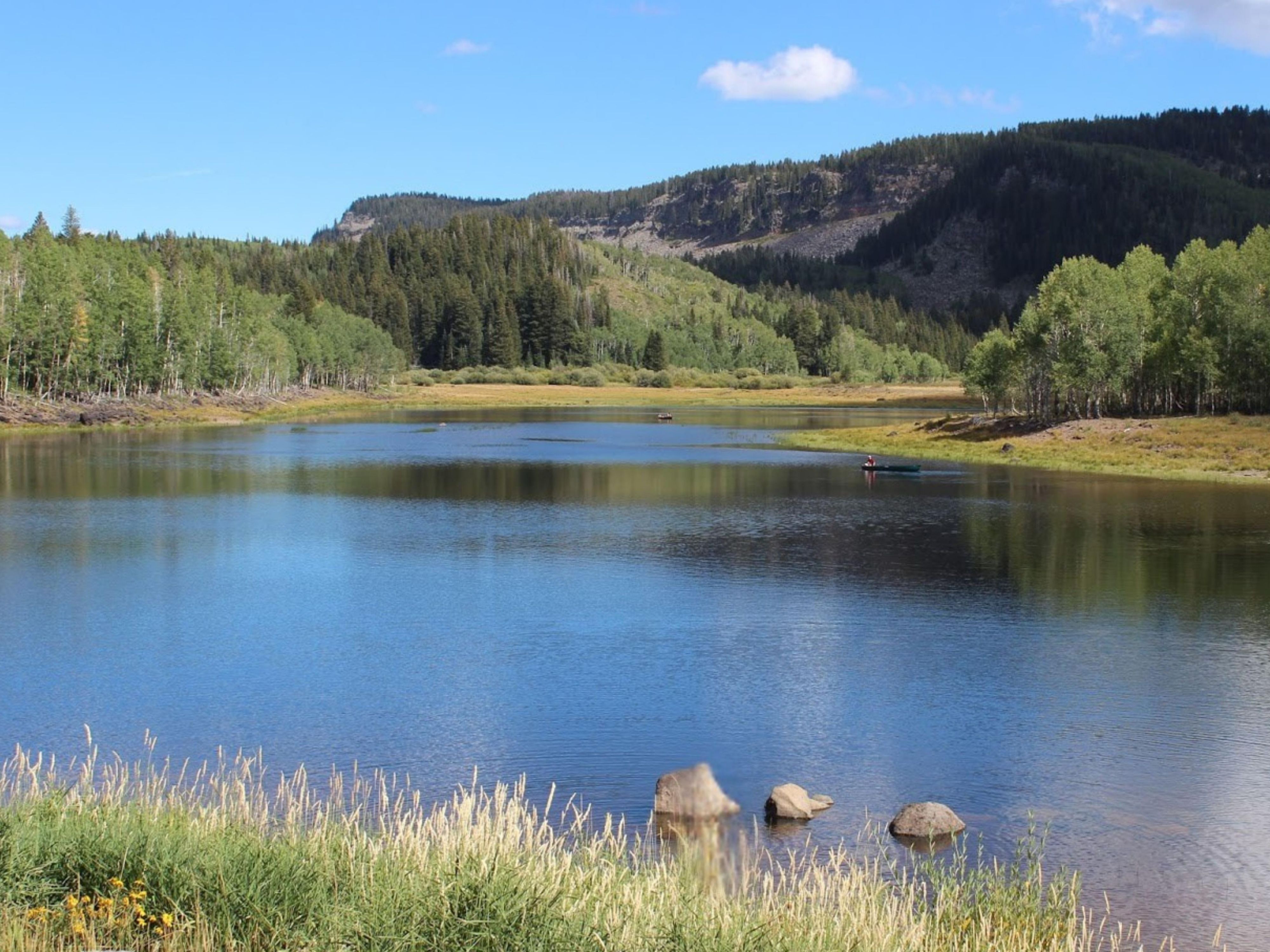 Wake up to breakfast included in your stay, then head just 8 minutes from Holiday Inn Express Belmont to Waterdog Lake & Open Space. This scenic area offers peaceful trails, local wildlife, and sunrise-to-sunset exploration across multiple trailheads, perfect for hiking, biking, and enjoying Belmont’s natural beauty.